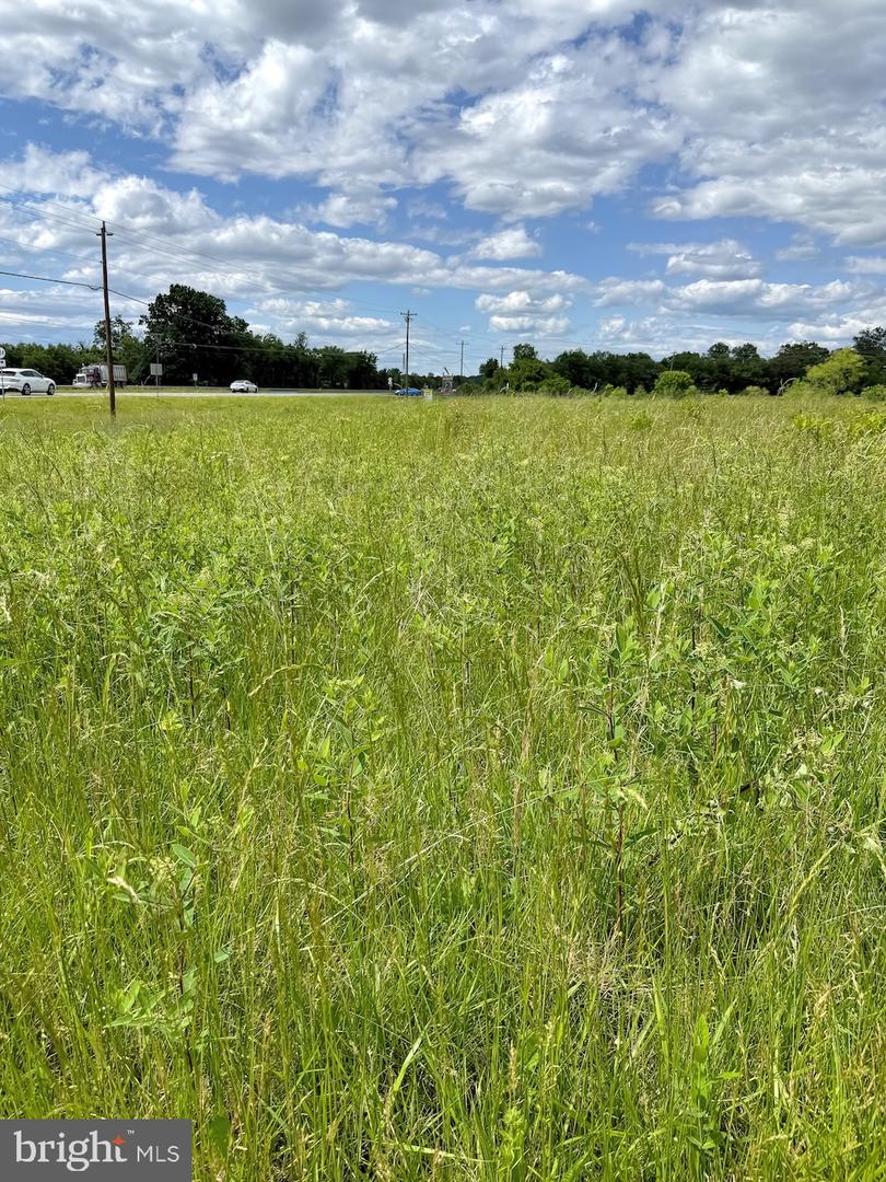 RT. 17 AND INGLEWOOD FARM LANE, BEALETON, Virginia 22712, ,Land,For sale,RT. 17 AND INGLEWOOD FARM LANE,VAFQ2016840 MLS # VAFQ2016840