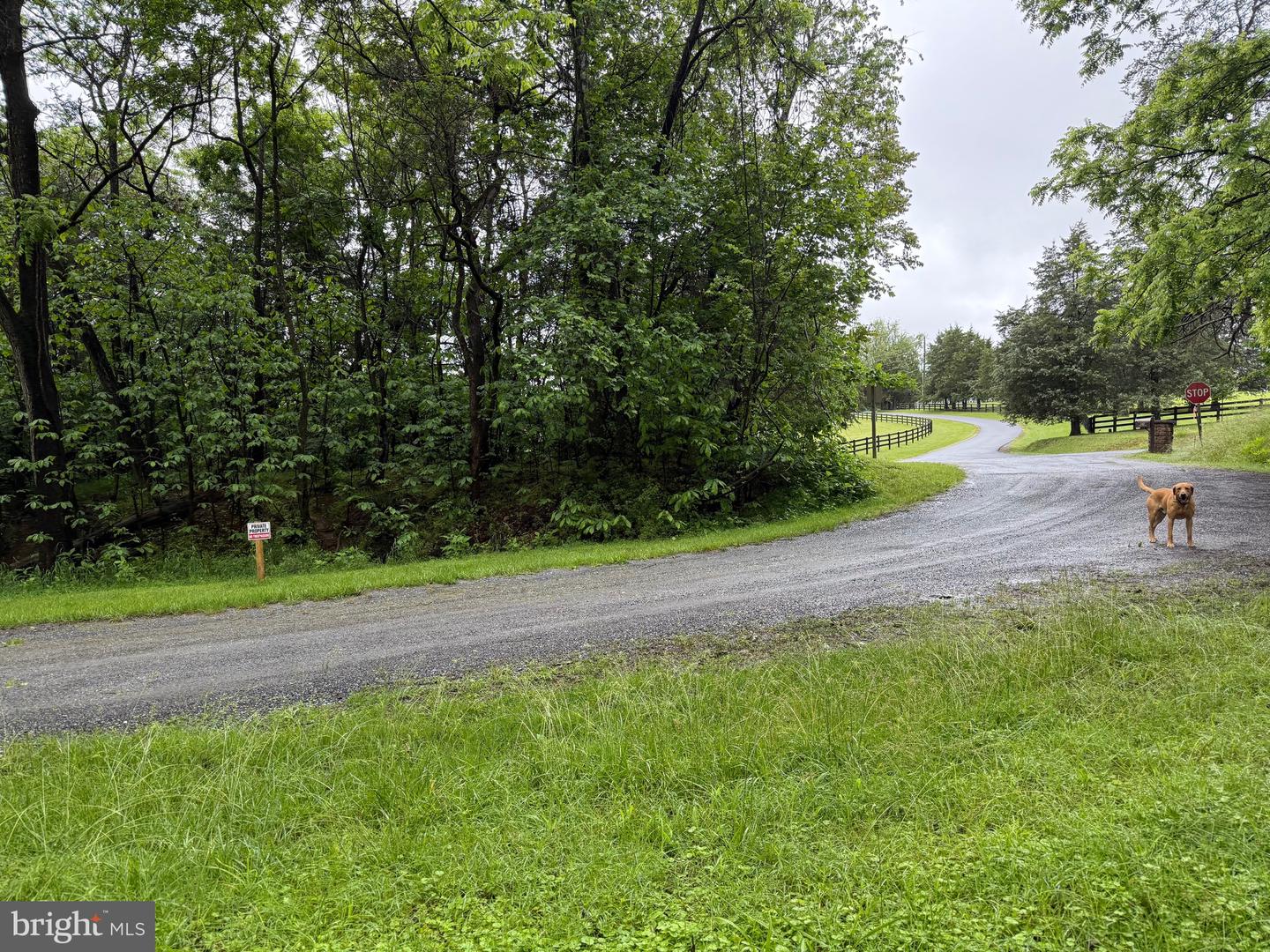 TBD MAYS FARM RD TRACT 1, FOREST, Virginia 24551, ,Land,For sale,TBD MAYS FARM RD TRACT 1,VABV2000212 MLS # VABV2000212