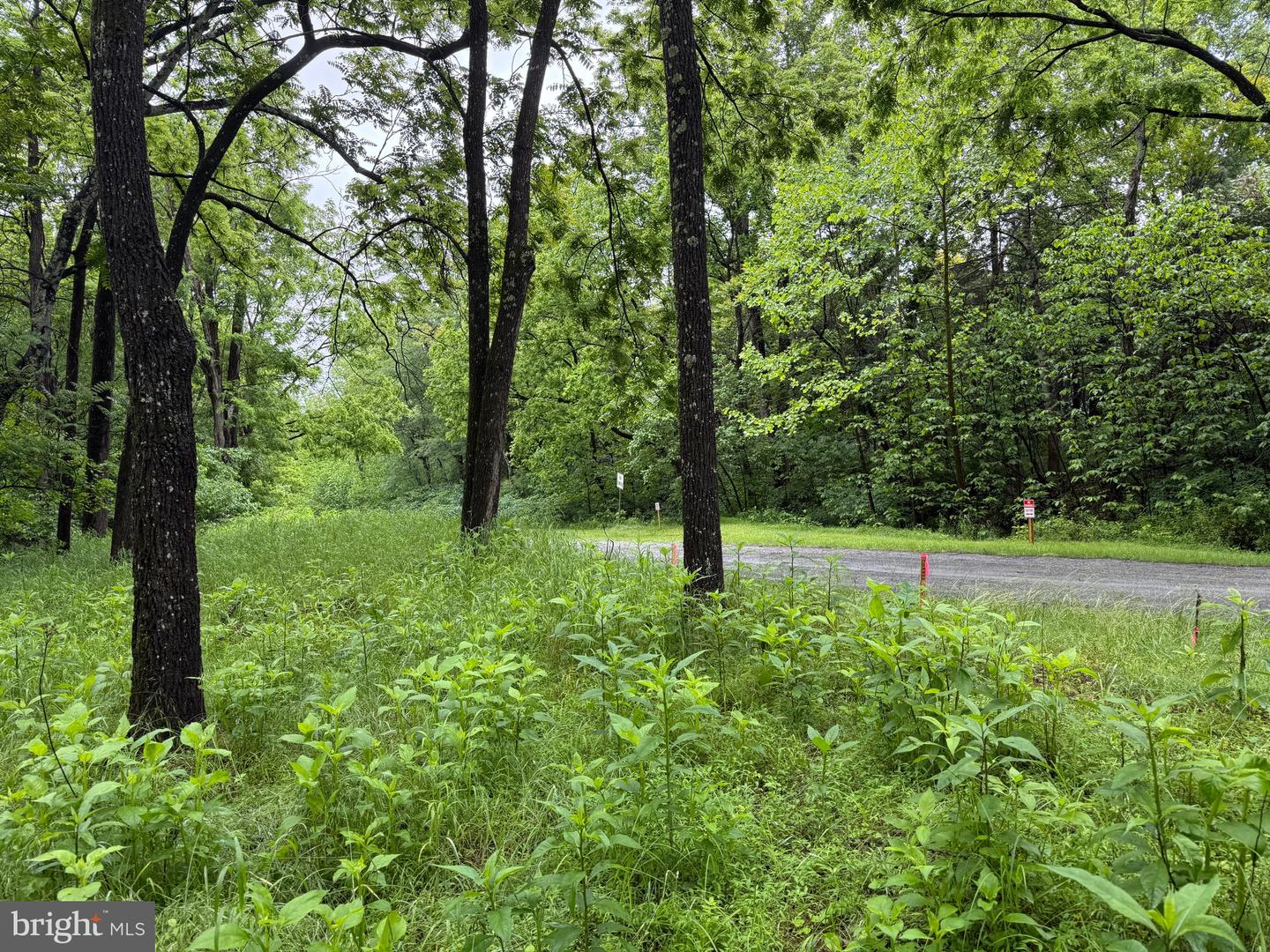 TBD MAYS FARM RD TRACT 1, FOREST, Virginia 24551, ,Land,For sale,TBD MAYS FARM RD TRACT 1,VABV2000212 MLS # VABV2000212