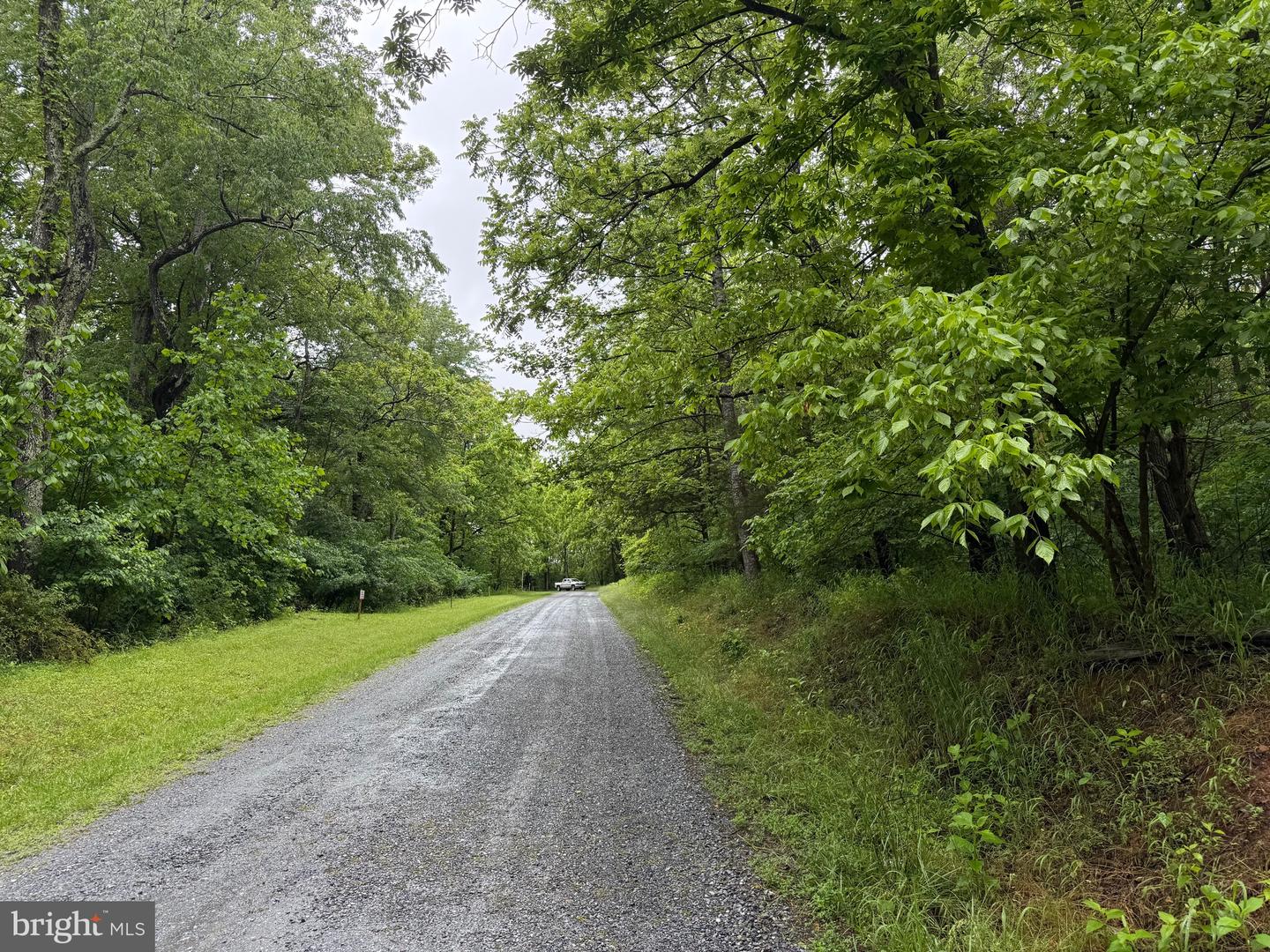 TBD MAYS FARM RD TRACT 3 MAYS FARM RD, FOREST, Virginia 24551, ,Land,For sale,TBD MAYS FARM RD TRACT 3 MAYS FARM RD,VABV2000216 MLS # VABV2000216