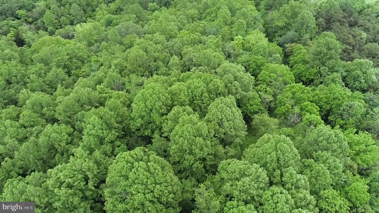 TBD MAYS FARM RD TRACT 3 MAYS FARM RD, FOREST, Virginia 24551, ,Land,For sale,TBD MAYS FARM RD TRACT 3 MAYS FARM RD,VABV2000216 MLS # VABV2000216