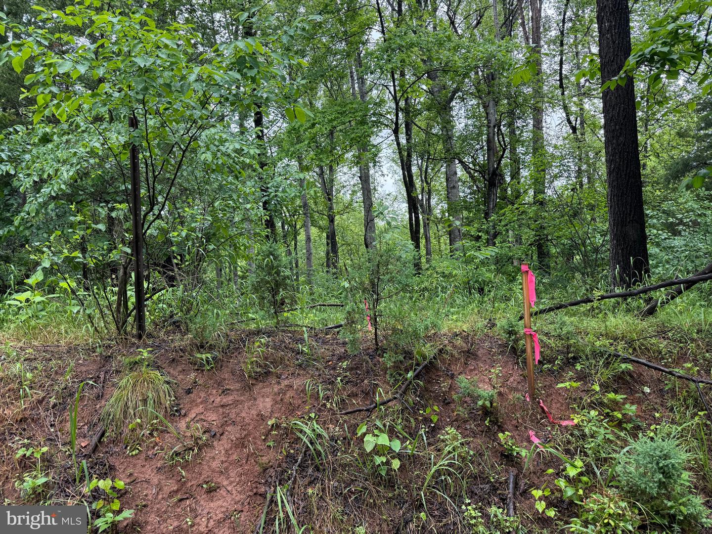 TBD MAYS FARM RD TRACT 3 MAYS FARM RD, FOREST, Virginia 24551, ,Land,For sale,TBD MAYS FARM RD TRACT 3 MAYS FARM RD,VABV2000216 MLS # VABV2000216