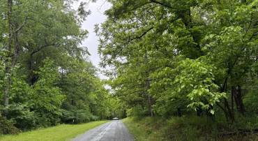 TBD MAYS FARM RD TRACT 3 MAYS FARM RD, FOREST, Virginia 24551, ,Land,For sale,TBD MAYS FARM RD TRACT 3 MAYS FARM RD,VABV2000216 MLS # VABV2000216