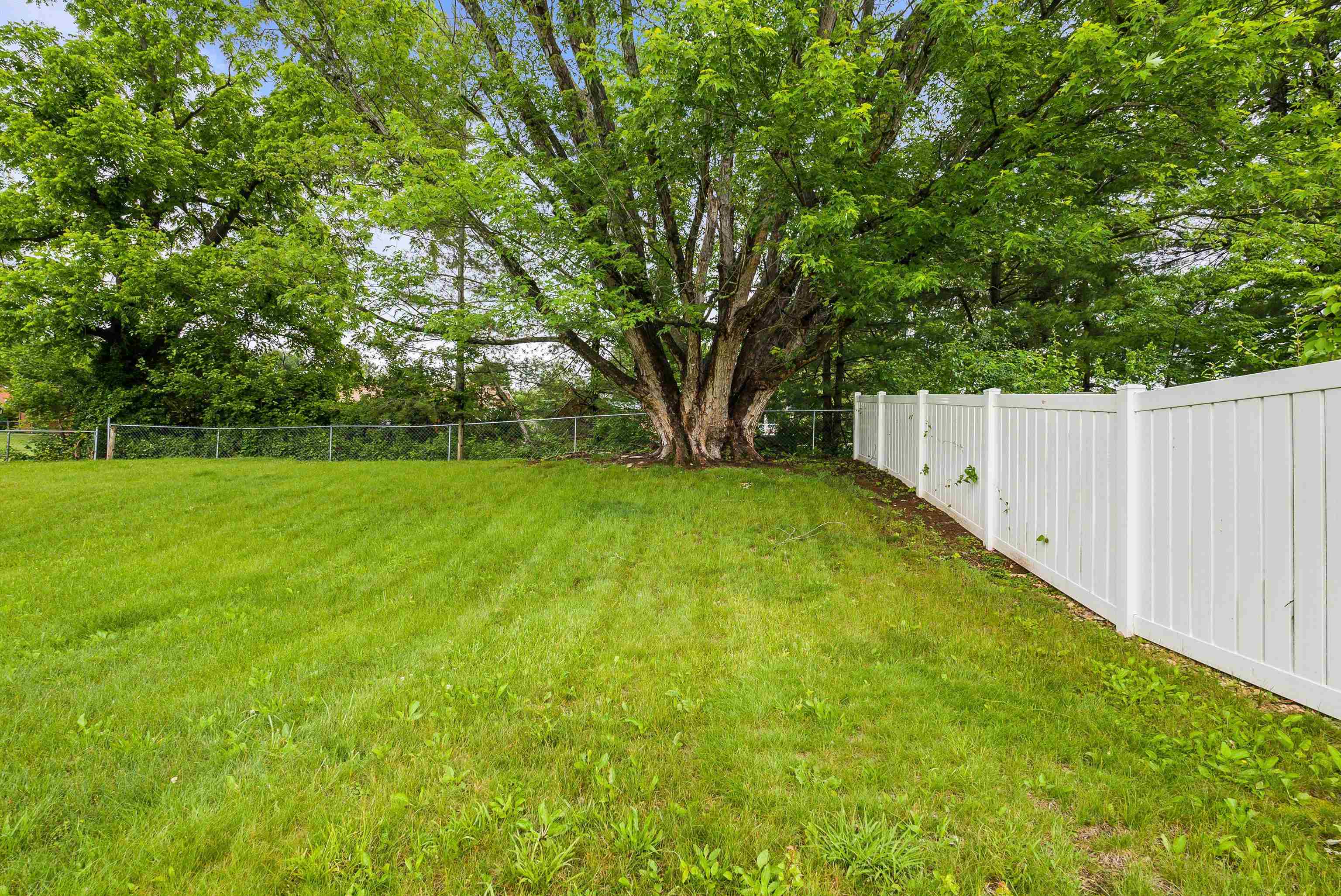 78 STUART AVE, STUARTS DRAFT, Virginia 24477, 3 Bedrooms Bedrooms, ,1 BathroomBathrooms,Residential,78 STUART AVE,665134 MLS # 665134