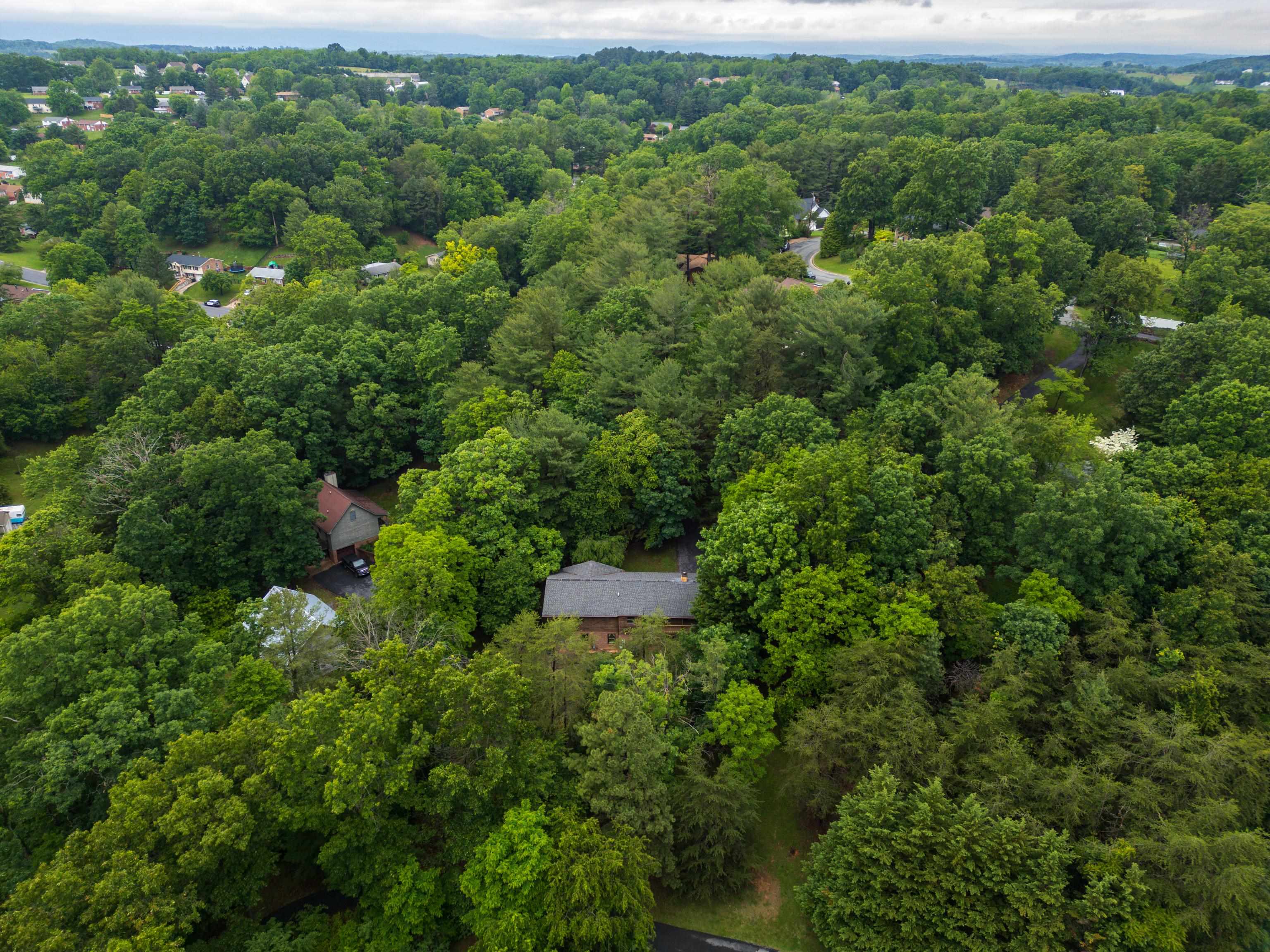409 THOMAS ST, STAUNTON, Virginia 24401, 4 Bedrooms Bedrooms, ,3 BathroomsBathrooms,Residential,409 THOMAS ST,665143 MLS # 665143