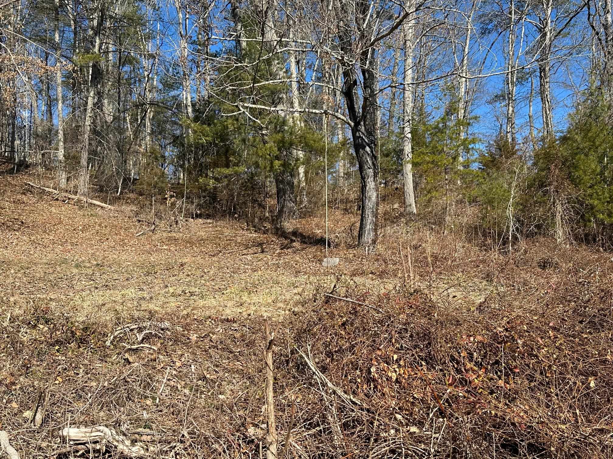60 OAK ST, CRAIGSVILLE, Virginia 24430, 3 Bedrooms Bedrooms, ,2 BathroomsBathrooms,Residential,Bank owned property sold AS IS CONDITION,60 OAK ST,665157 MLS # 665157