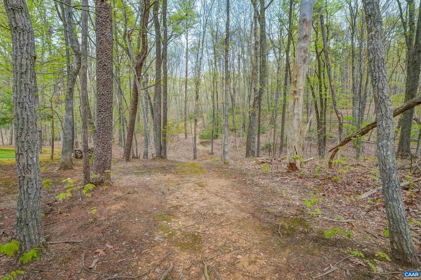 4045 BUCK ISLAND RD, CHARLOTTESVILLE, Virginia 22902, 4 Bedrooms Bedrooms, ,3 BathroomsBathrooms,Residential,For sale,4045 BUCK ISLAND RD,663493 MLS # 663493