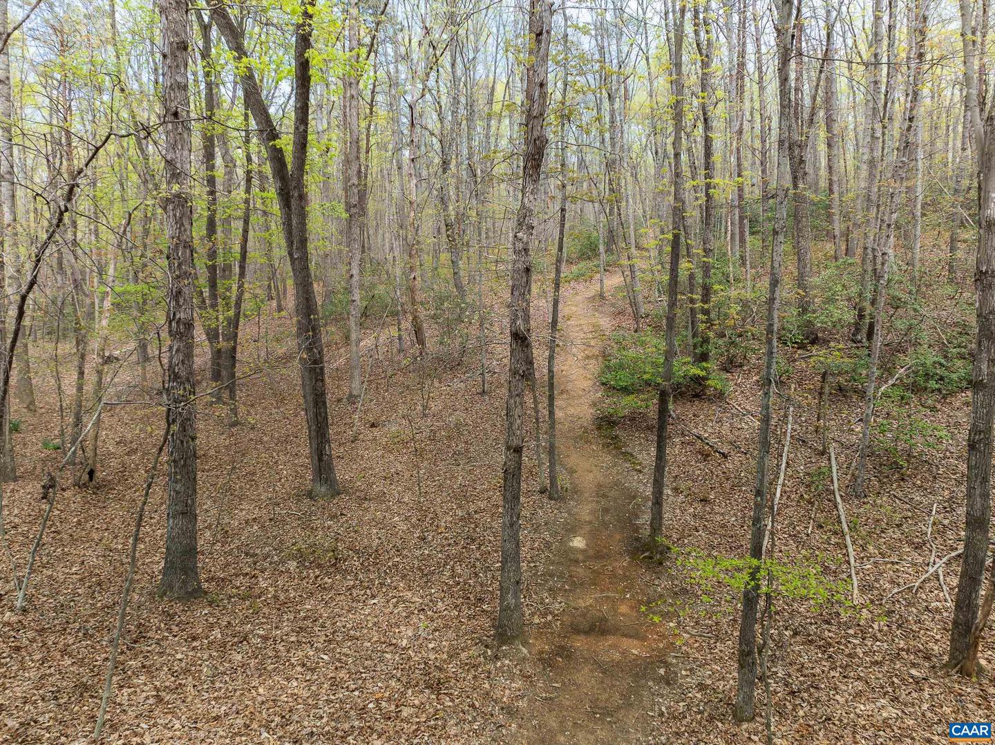 4045 BUCK ISLAND RD, CHARLOTTESVILLE, Virginia 22902, 4 Bedrooms Bedrooms, ,3 BathroomsBathrooms,Residential,For sale,4045 BUCK ISLAND RD,663493 MLS # 663493