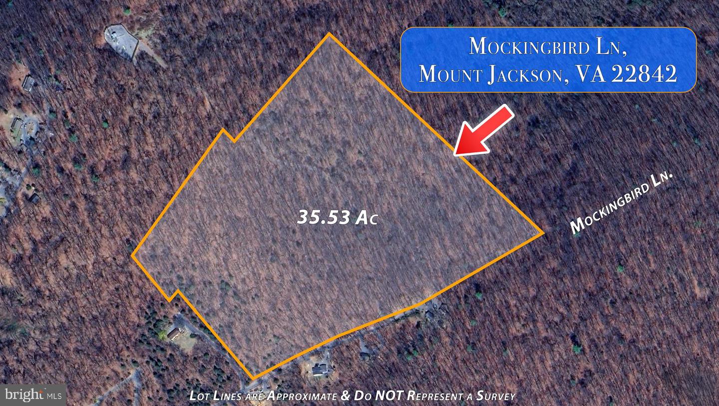 MOCKINGBIRD, MOUNT JACKSON, Virginia 22842, ,Land,For sale,MOCKINGBIRD,VASH2011604 MLS # VASH2011604
