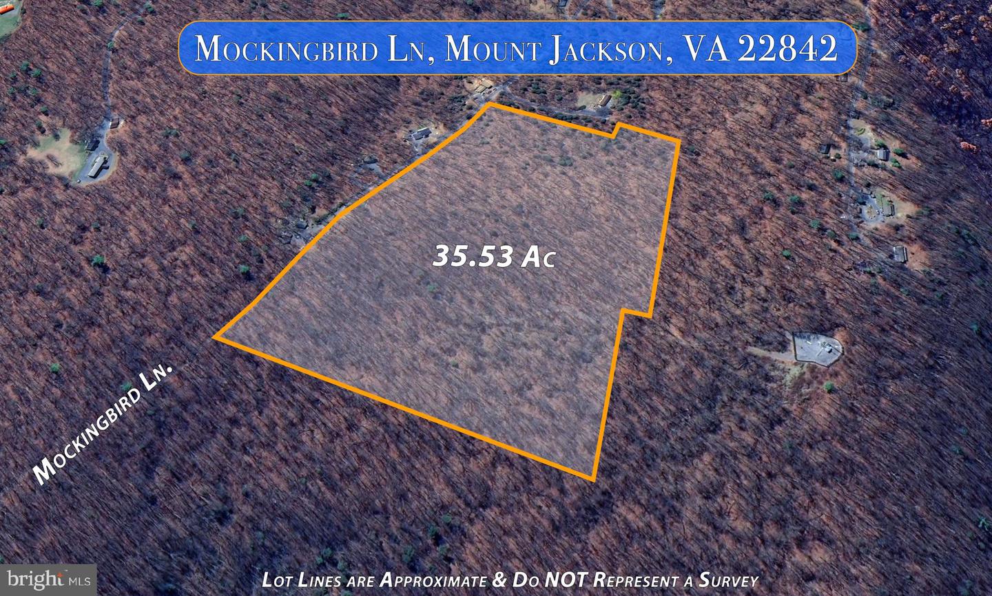 MOCKINGBIRD, MOUNT JACKSON, Virginia 22842, ,Land,For sale,MOCKINGBIRD,VASH2011604 MLS # VASH2011604