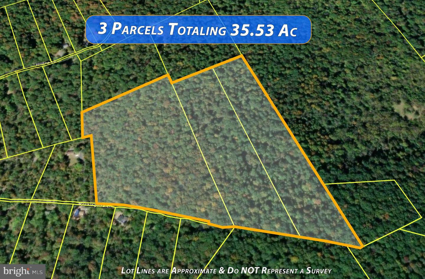 MOCKINGBIRD, MOUNT JACKSON, Virginia 22842, ,Land,For sale,MOCKINGBIRD,VASH2011604 MLS # VASH2011604