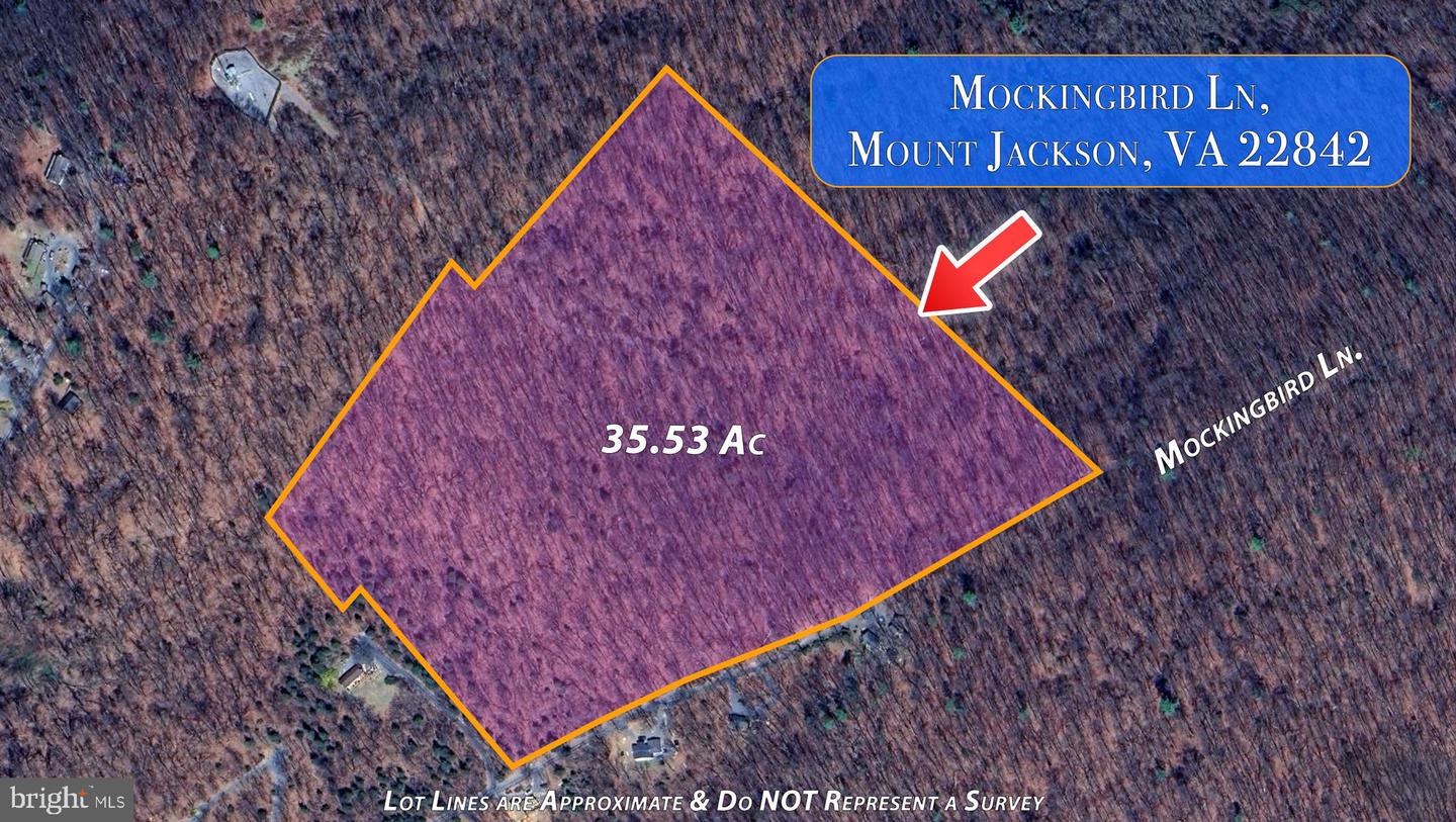 MOCKINGBIRD, MOUNT JACKSON, Virginia 22842, ,Land,For sale,MOCKINGBIRD,VASH2011604 MLS # VASH2011604