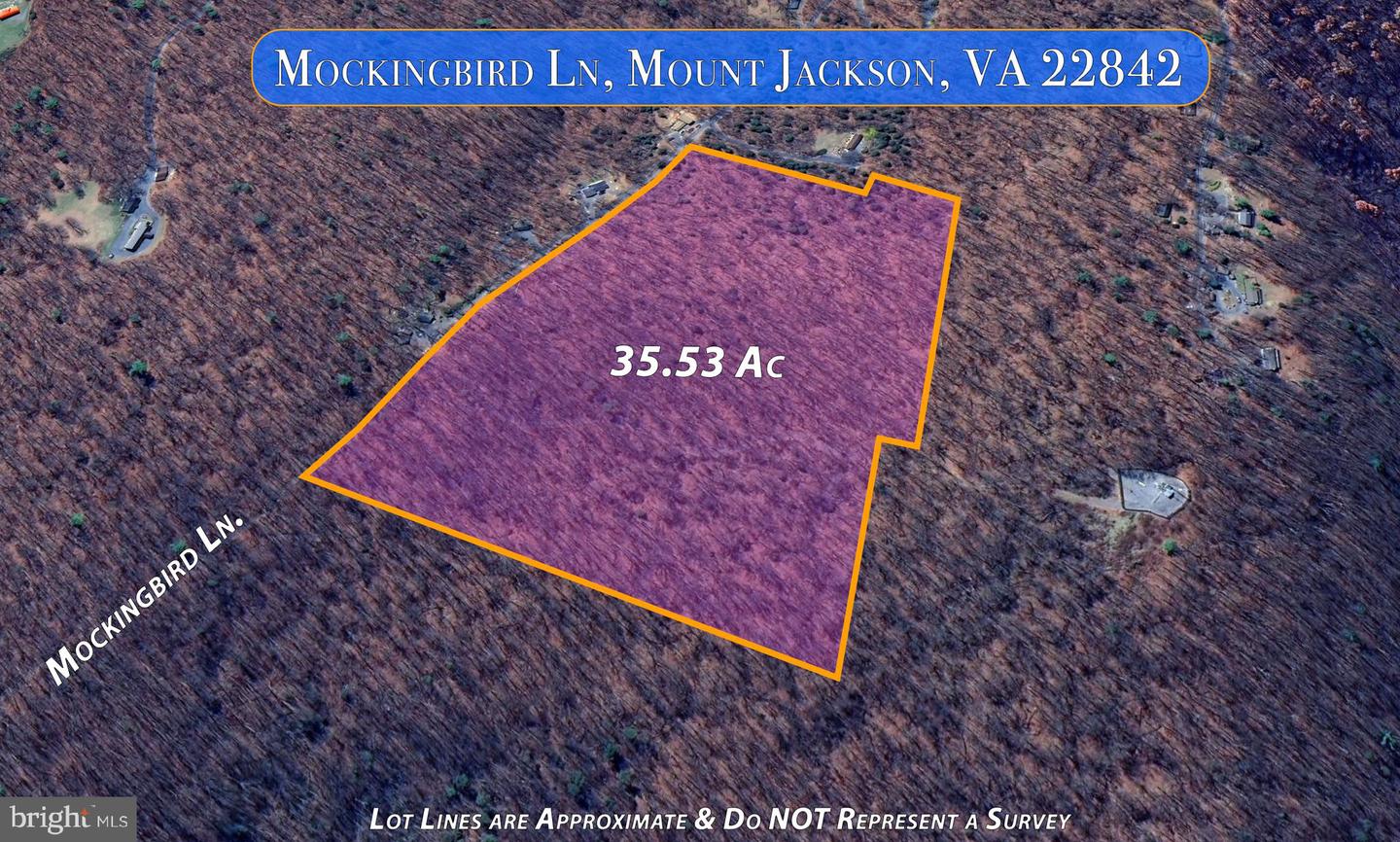 MOCKINGBIRD, MOUNT JACKSON, Virginia 22842, ,Land,For sale,MOCKINGBIRD,VASH2011604 MLS # VASH2011604