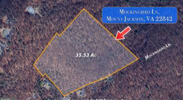 MOCKINGBIRD, MOUNT JACKSON, Virginia 22842, ,Land,For sale,MOCKINGBIRD,VASH2011604 MLS # VASH2011604