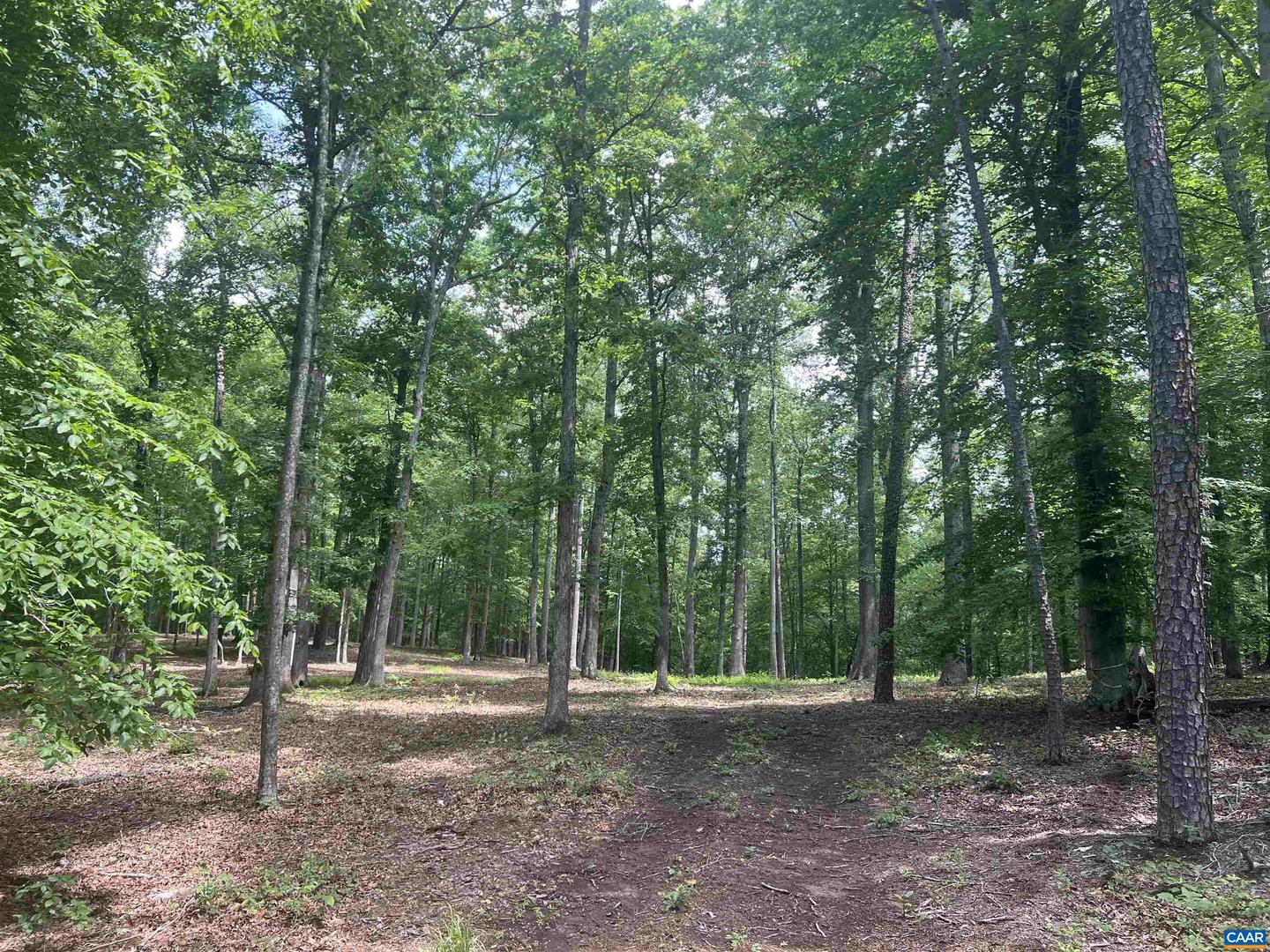 0 STONY POINT RD #E, CHARLOTTESVILLE, Virginia 22911, ,Land,For sale,0 STONY POINT RD #E,665164 MLS # 665164