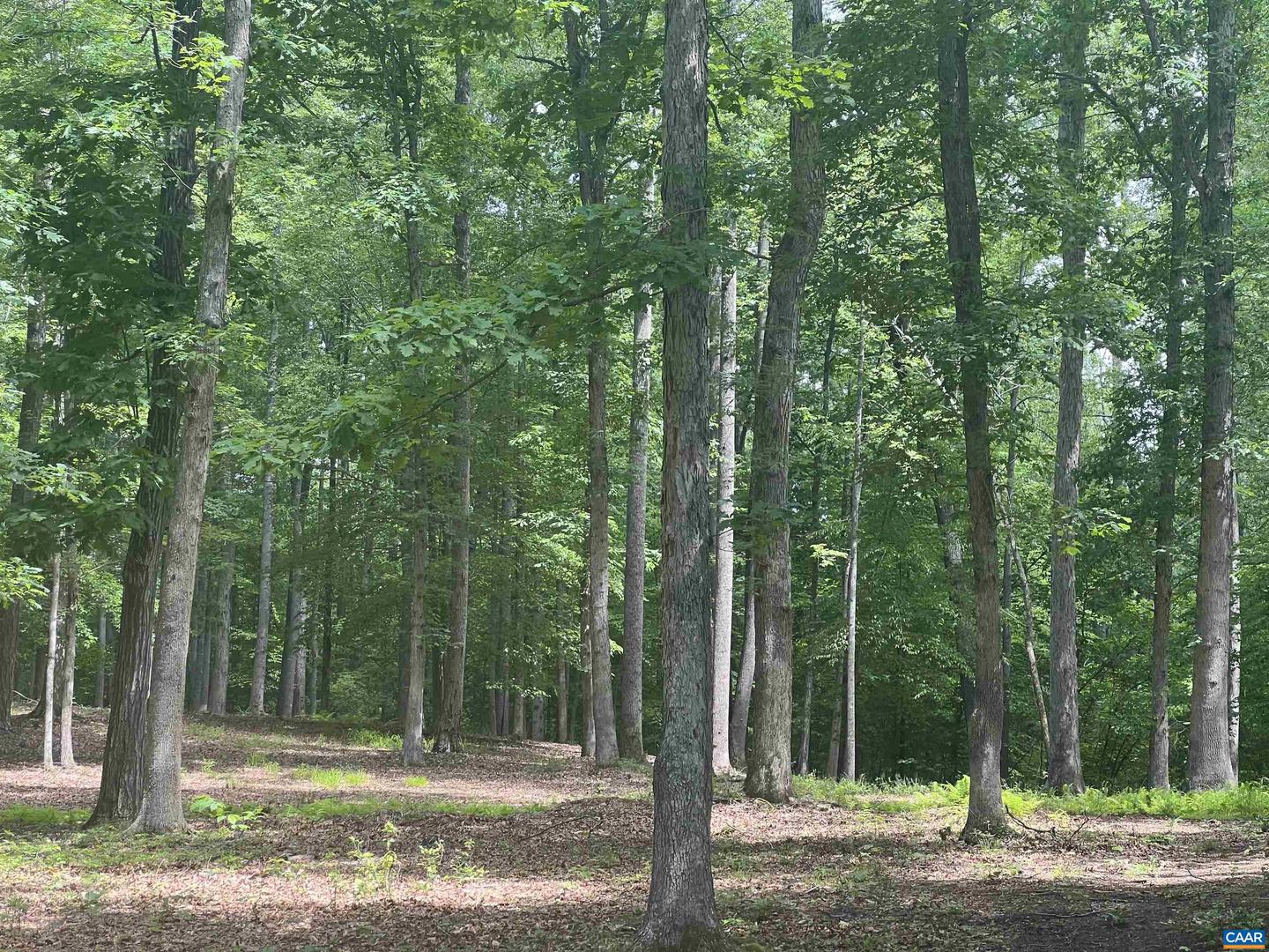 0 STONY POINT RD #E, CHARLOTTESVILLE, Virginia 22911, ,Land,For sale,0 STONY POINT RD #E,665164 MLS # 665164