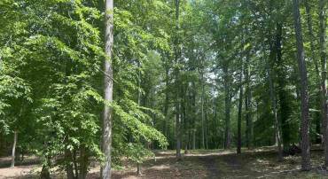 0 STONY POINT RD #E, CHARLOTTESVILLE, Virginia 22911, ,Land,For sale,0 STONY POINT RD #E,665164 MLS # 665164