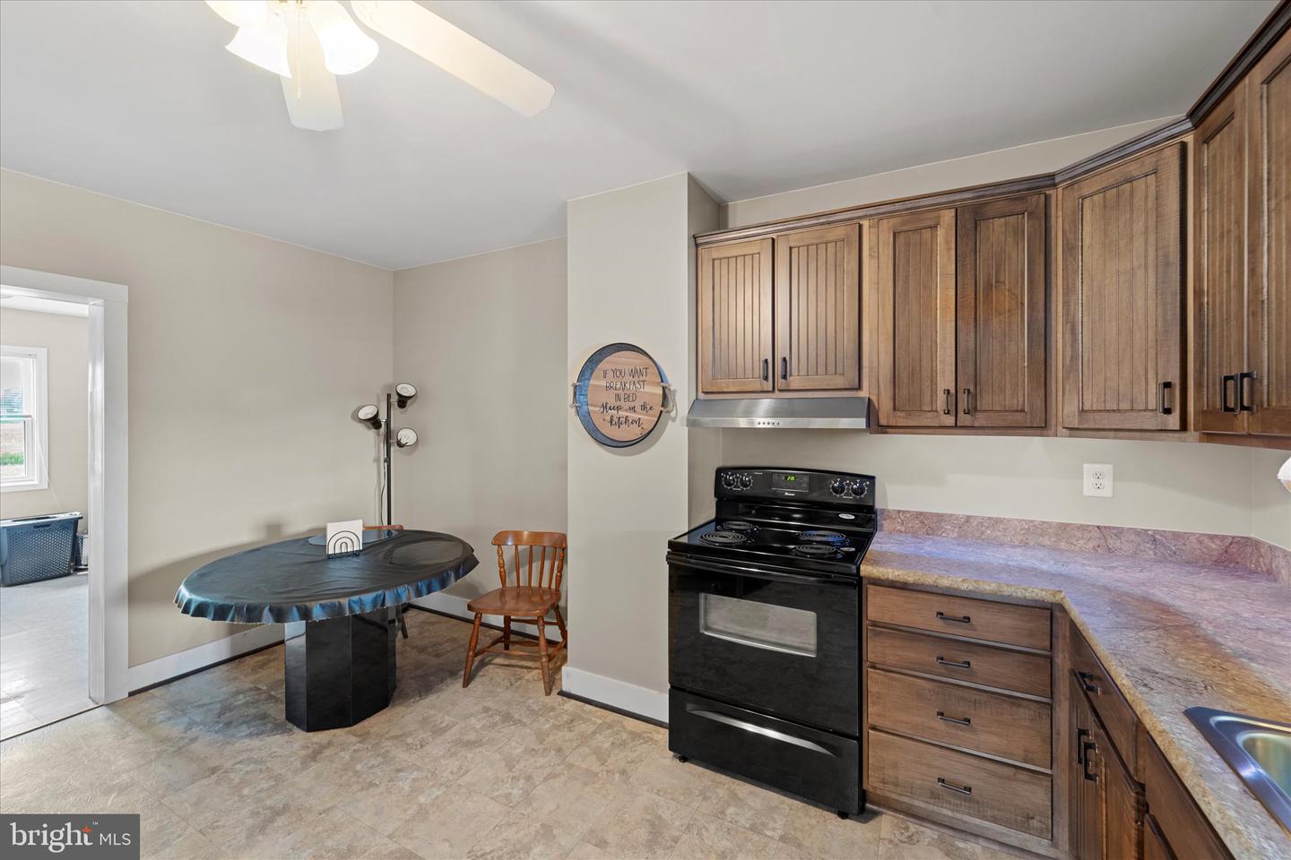 42880 SPINKS FERRY RD, LEESBURG, Virginia 20176, ,Farm,For sale,42880 SPINKS FERRY RD,VALO2098398 MLS # VALO2098398