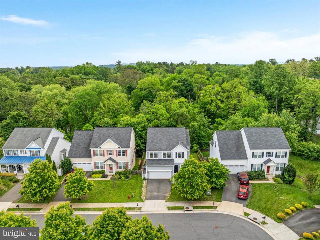 13 LADYSMITH CT, HAMILTON, Virginia 20158, 4 Bedrooms Bedrooms, ,3 BathroomsBathrooms,Residential,For sale,13 LADYSMITH CT,VALO2097524 MLS # VALO2097524