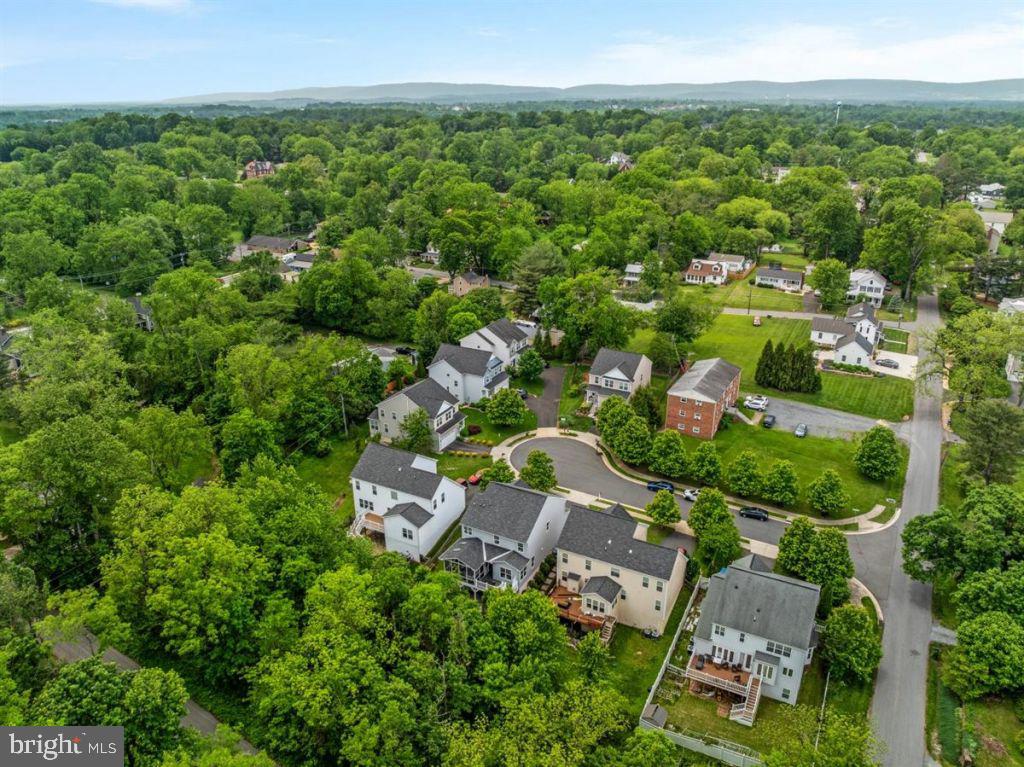 13 LADYSMITH CT, HAMILTON, Virginia 20158, 4 Bedrooms Bedrooms, ,3 BathroomsBathrooms,Residential,For sale,13 LADYSMITH CT,VALO2097524 MLS # VALO2097524