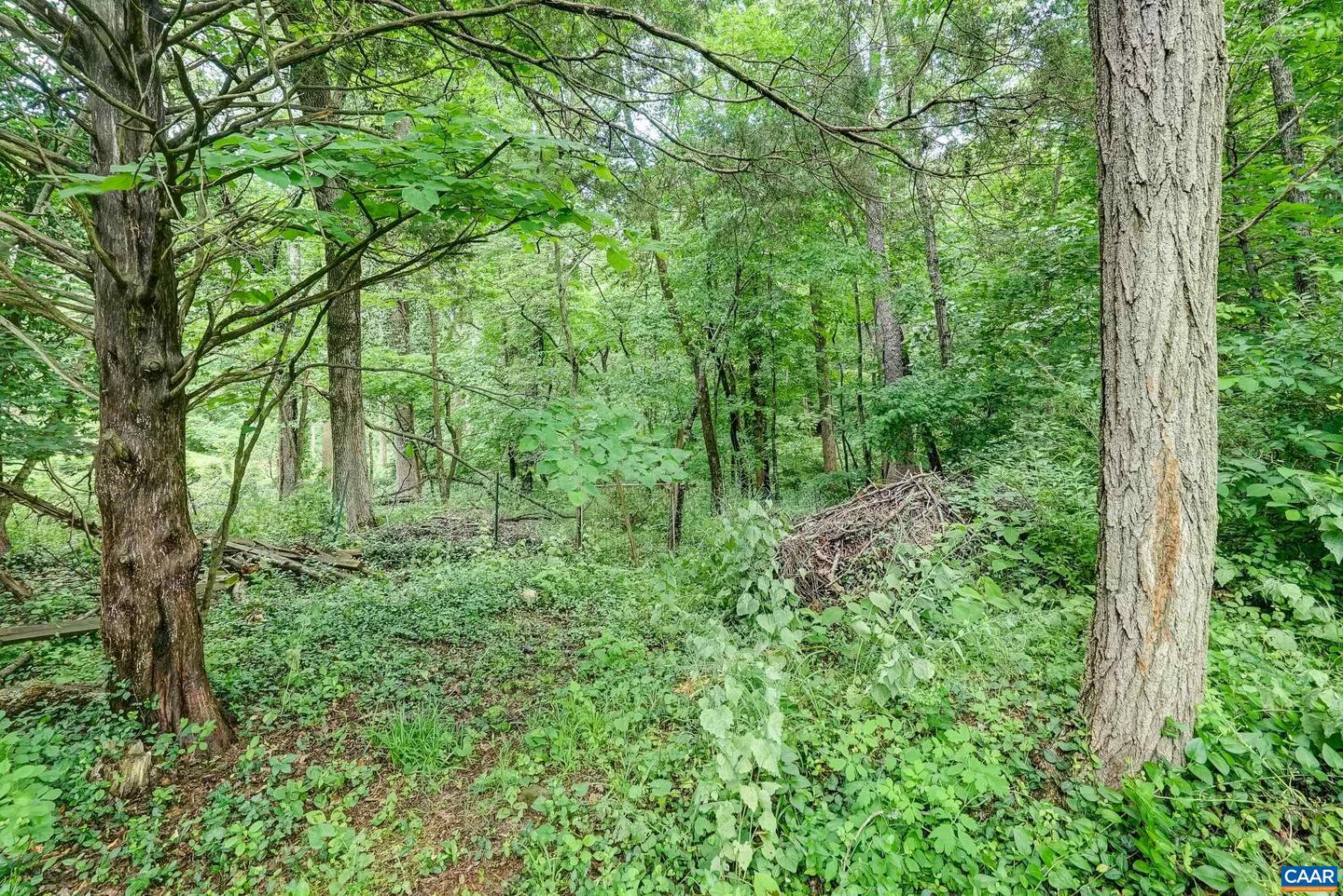 2425 JEFFERSON PARK AVE, CHARLOTTESVILLE, Virginia 22903, 6 Bedrooms Bedrooms, ,3 BathroomsBathrooms,Residential,For sale,2425 JEFFERSON PARK AVE,665068 MLS # 665068