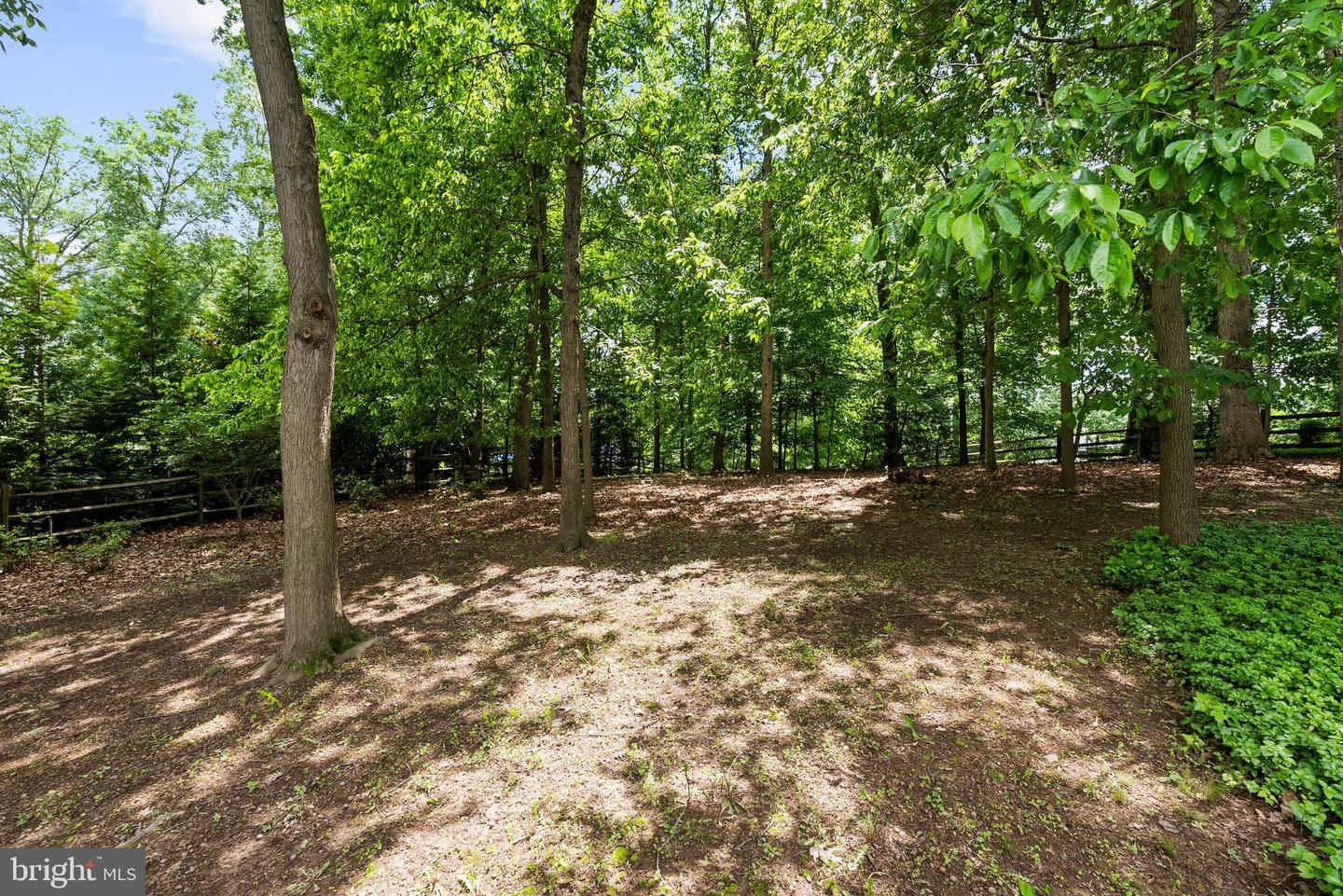 6707 LUPINE LN, MCLEAN, Virginia 22101, 6 Bedrooms Bedrooms, ,6 BathroomsBathrooms,Residential,For sale,6707 LUPINE LN,VAFX2243902 MLS # VAFX2243902