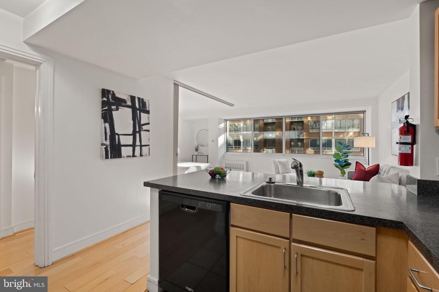 800 4TH ST SW #N216, WASHINGTON, District Of Columbia 20024, ,1 BathroomBathrooms,Residential,For sale,800 4TH ST SW #N216,DCDC2203208 MLS # DCDC2203208