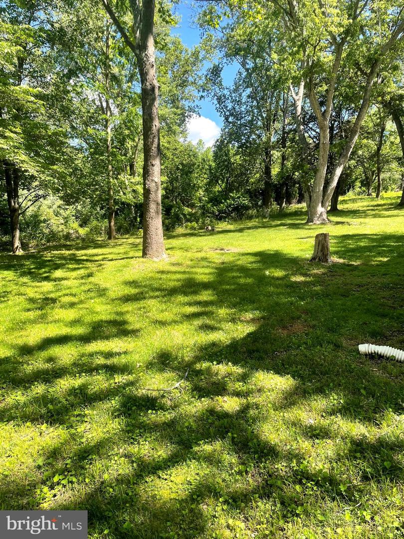 LOCUST DALE, Virginia 22948, 3 Bedrooms Bedrooms, ,2 BathroomsBathrooms,Residential,For sale,VAMA2002260 MLS # VAMA2002260
