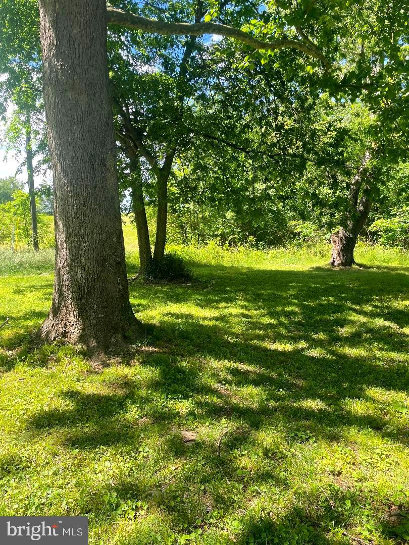LOCUST DALE, Virginia 22948, 3 Bedrooms Bedrooms, ,2 BathroomsBathrooms,Residential,For sale,VAMA2002260 MLS # VAMA2002260