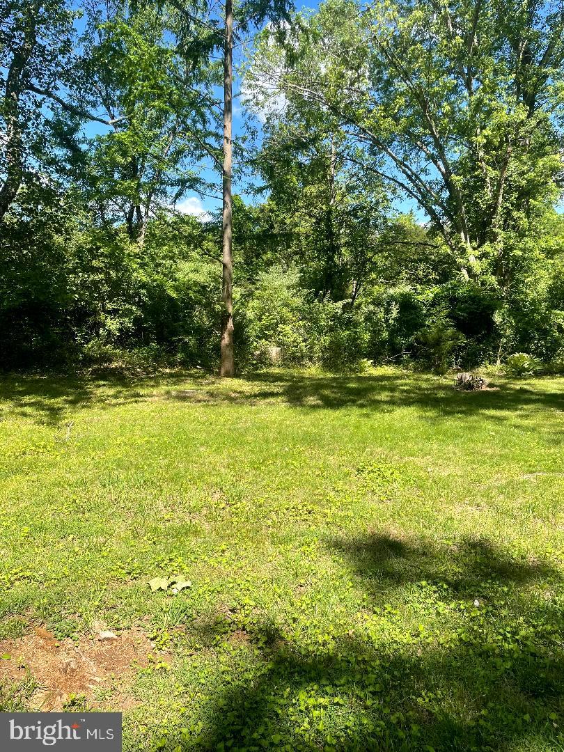 LOCUST DALE, Virginia 22948, 3 Bedrooms Bedrooms, ,2 BathroomsBathrooms,Residential,For sale,VAMA2002260 MLS # VAMA2002260