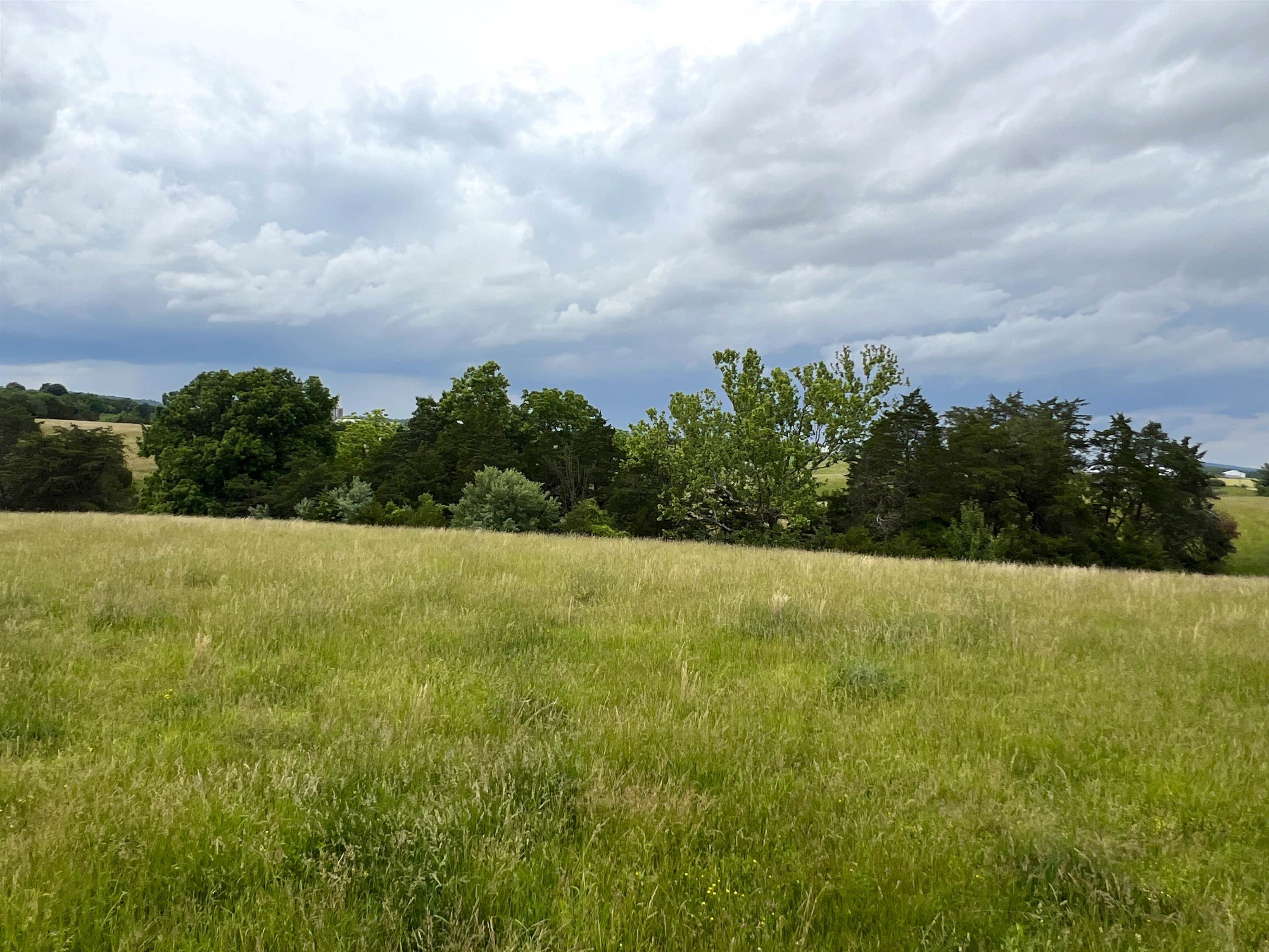 TBD KNIGHTLY MILL RD, MOUNT SIDNEY, Virginia 24467, ,Land,TBD KNIGHTLY MILL RD,665254 MLS # 665254