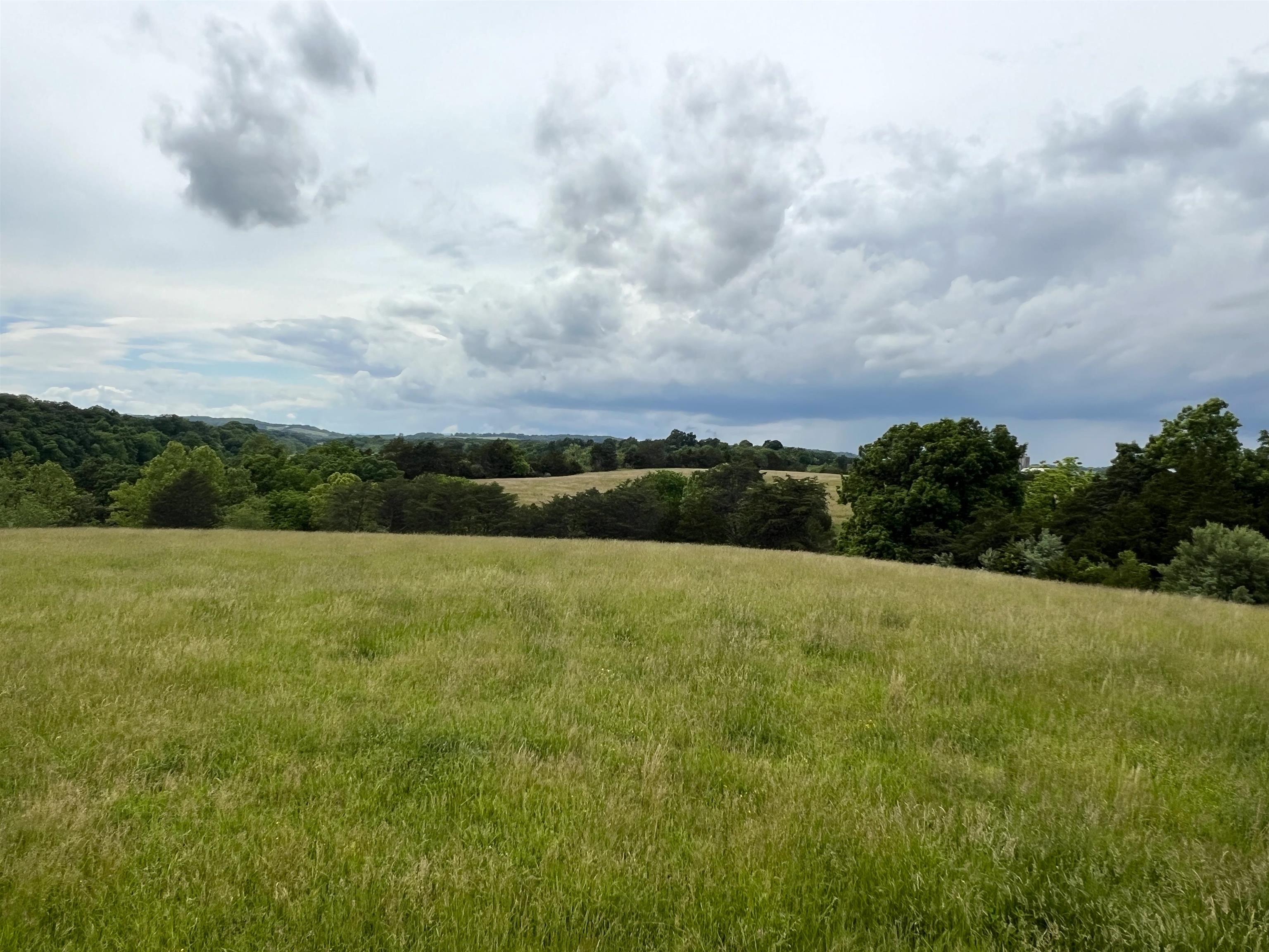 TBD KNIGHTLY MILL RD, MOUNT SIDNEY, Virginia 24467, ,Land,TBD KNIGHTLY MILL RD,665254 MLS # 665254