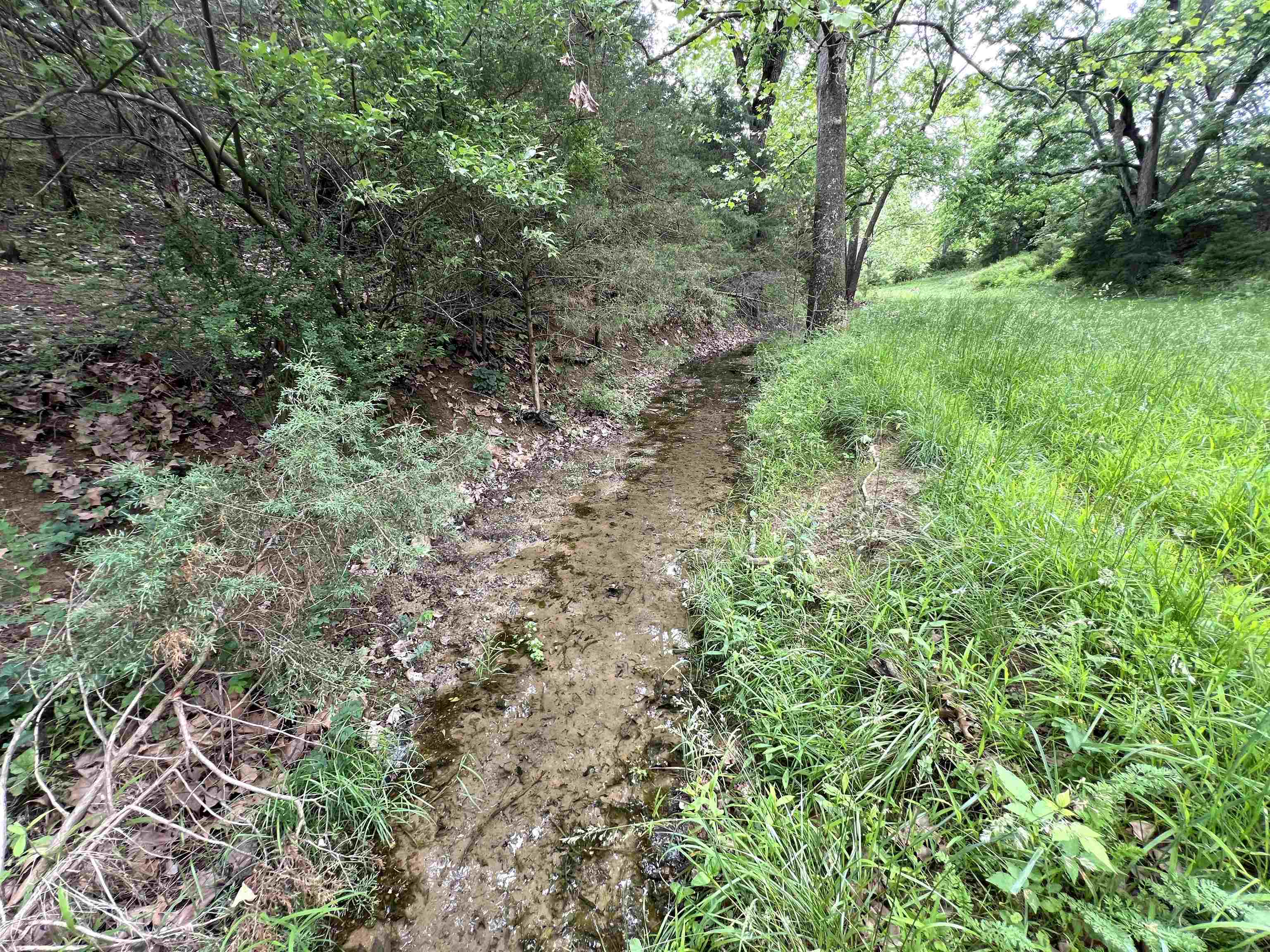 TBD KNIGHTLY MILL RD, MOUNT SIDNEY, Virginia 24467, ,Land,TBD KNIGHTLY MILL RD,665254 MLS # 665254