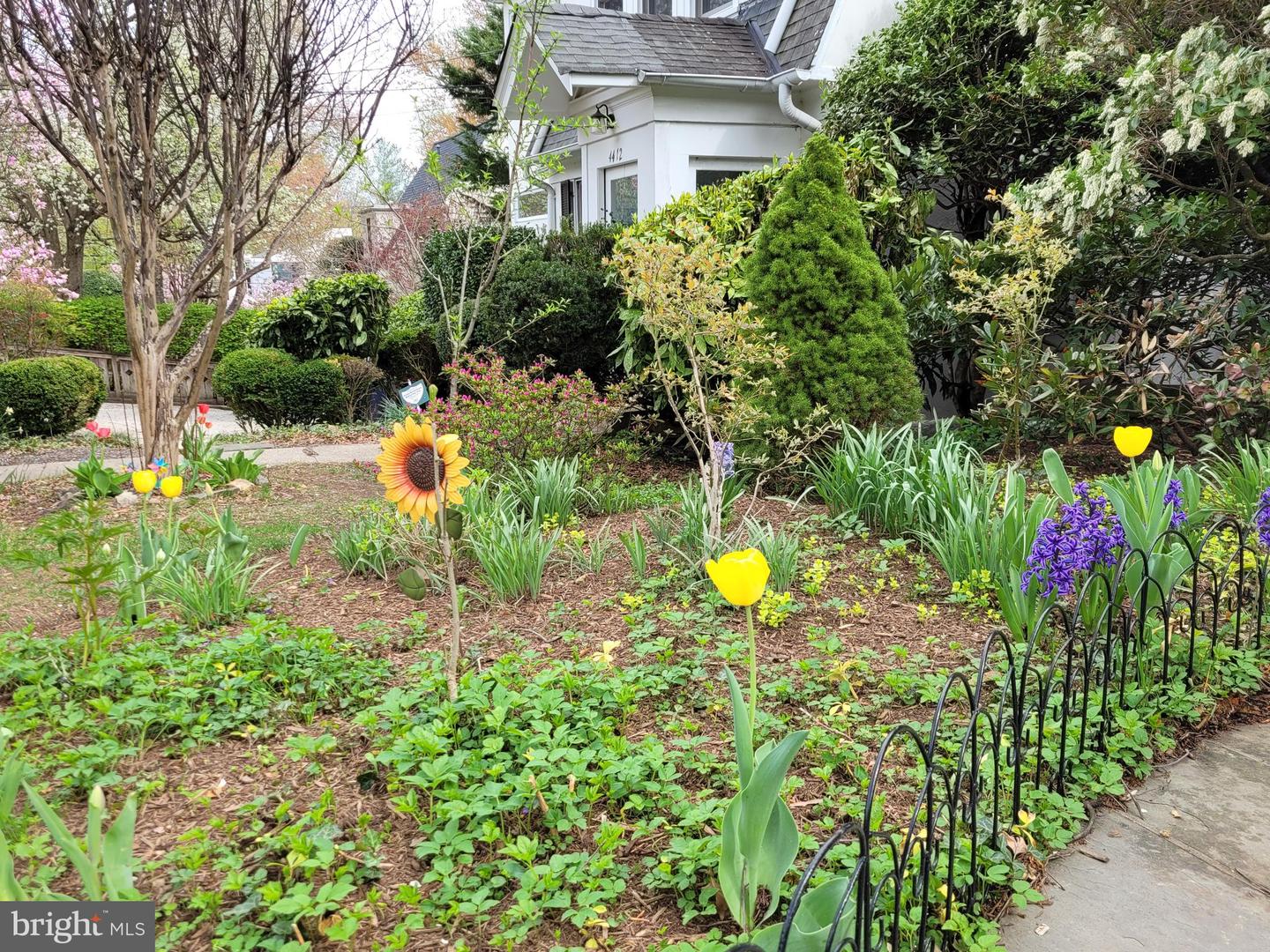 4414 LOWELL ST NW, WASHINGTON, District Of Columbia 20016, 5 Bedrooms Bedrooms, ,4 BathroomsBathrooms,Residential,For sale,4414 LOWELL ST NW,DCDC2185006 MLS # DCDC2185006
