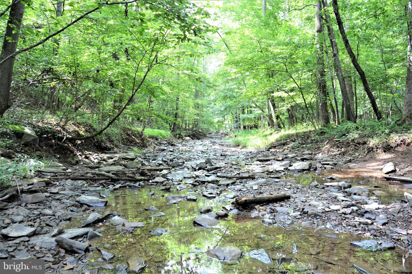 LOT 11-HOOVER MTN PACK HORSE RD, WINCHESTER, Virginia 22603, ,Land,For sale,LOT 11-HOOVER MTN PACK HORSE RD,VAFV2033532 MLS # VAFV2033532