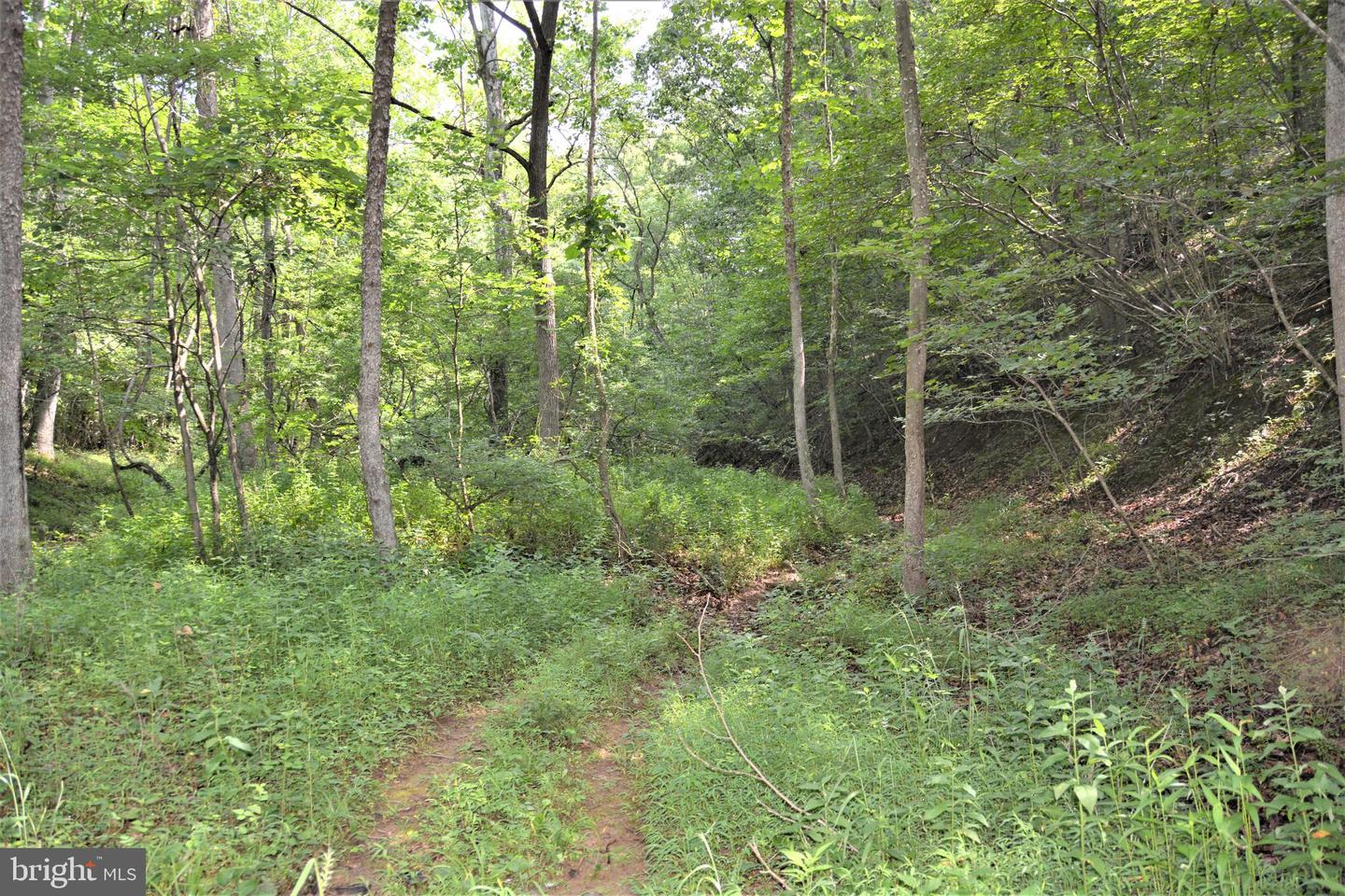 LOT 11-HOOVER MTN PACK HORSE RD, WINCHESTER, Virginia 22603, ,Land,For sale,LOT 11-HOOVER MTN PACK HORSE RD,VAFV2033532 MLS # VAFV2033532
