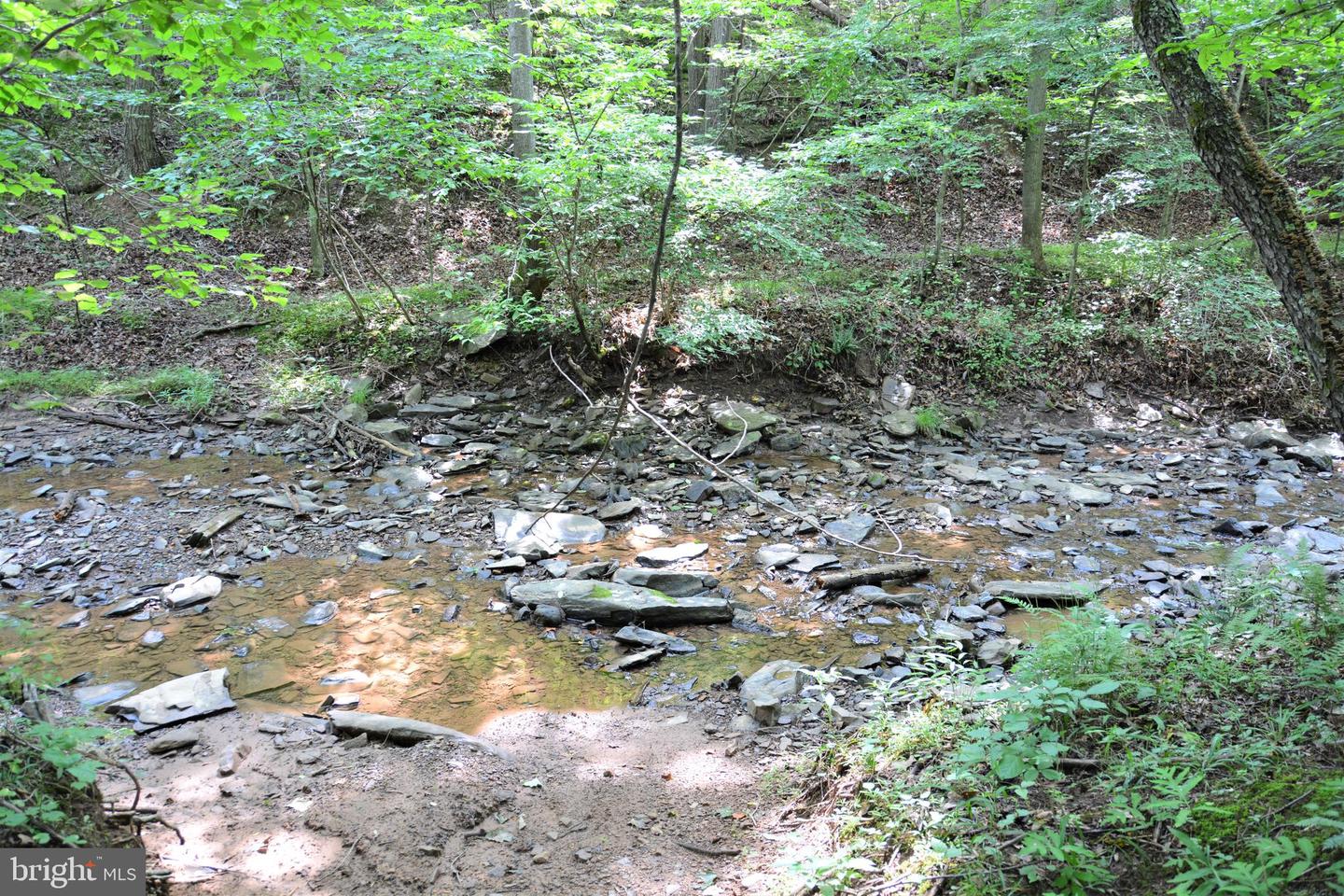 LOT 11-HOOVER MTN PACK HORSE RD, WINCHESTER, Virginia 22603, ,Land,For sale,LOT 11-HOOVER MTN PACK HORSE RD,VAFV2033532 MLS # VAFV2033532