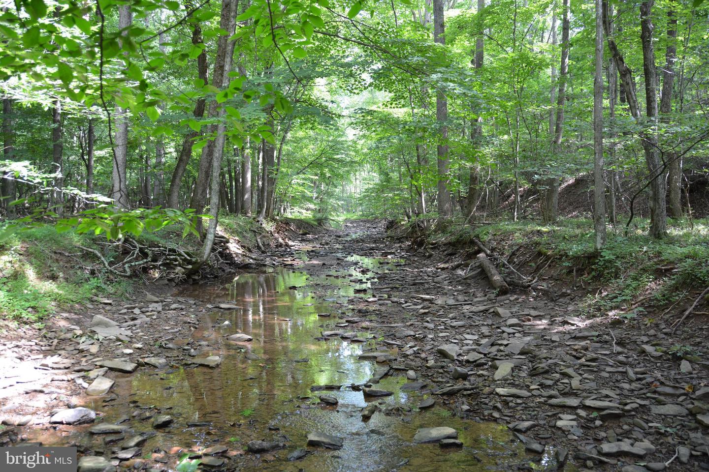 LOT 11-HOOVER MTN PACK HORSE RD, WINCHESTER, Virginia 22603, ,Land,For sale,LOT 11-HOOVER MTN PACK HORSE RD,VAFV2033532 MLS # VAFV2033532
