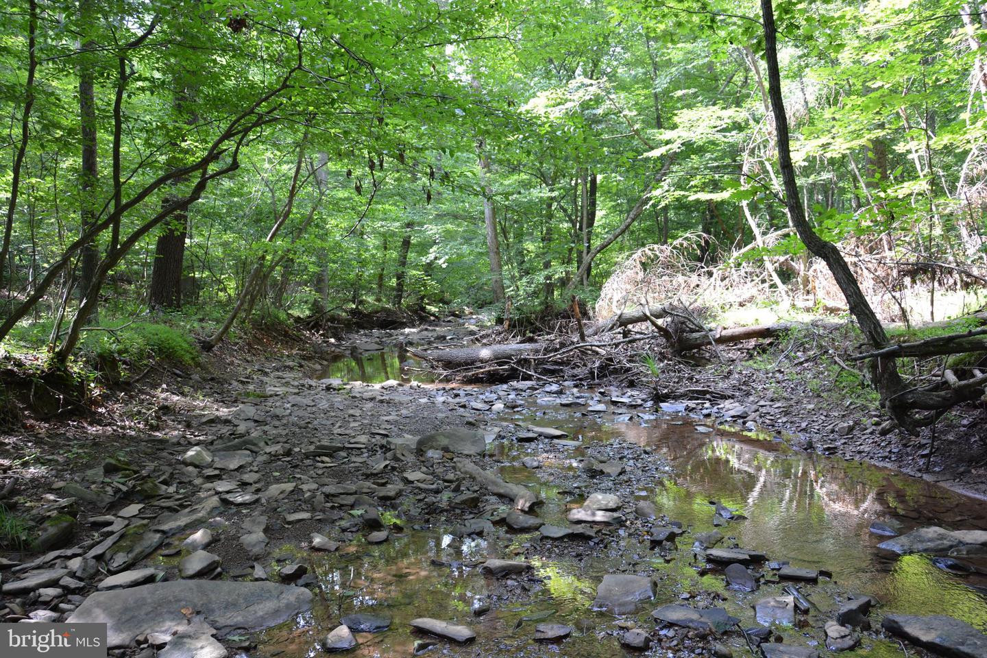 LOT 11-HOOVER MTN PACK HORSE RD, WINCHESTER, Virginia 22603, ,Land,For sale,LOT 11-HOOVER MTN PACK HORSE RD,VAFV2033532 MLS # VAFV2033532