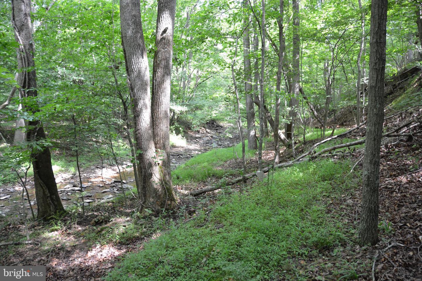 LOT 11-HOOVER MTN PACK HORSE RD, WINCHESTER, Virginia 22603, ,Land,For sale,LOT 11-HOOVER MTN PACK HORSE RD,VAFV2033532 MLS # VAFV2033532