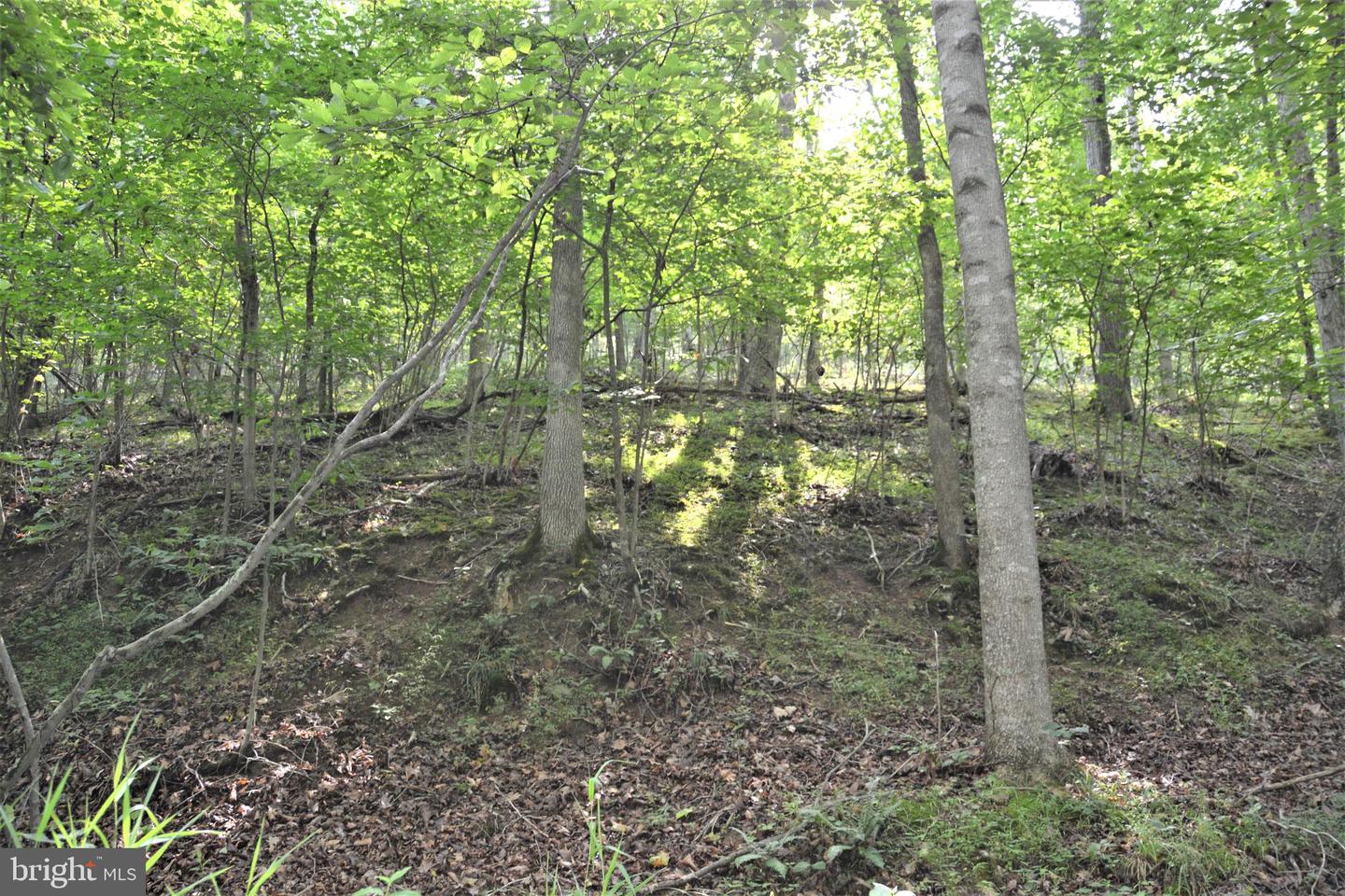 LOT 11-HOOVER MTN PACK HORSE RD, WINCHESTER, Virginia 22603, ,Land,For sale,LOT 11-HOOVER MTN PACK HORSE RD,VAFV2033532 MLS # VAFV2033532