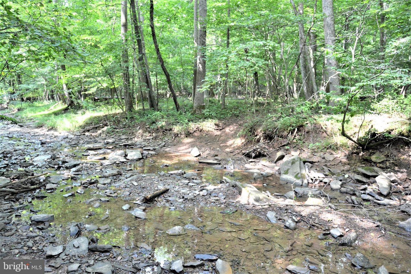 LOT 11-HOOVER MTN PACK HORSE RD, WINCHESTER, Virginia 22603, ,Land,For sale,LOT 11-HOOVER MTN PACK HORSE RD,VAFV2033532 MLS # VAFV2033532