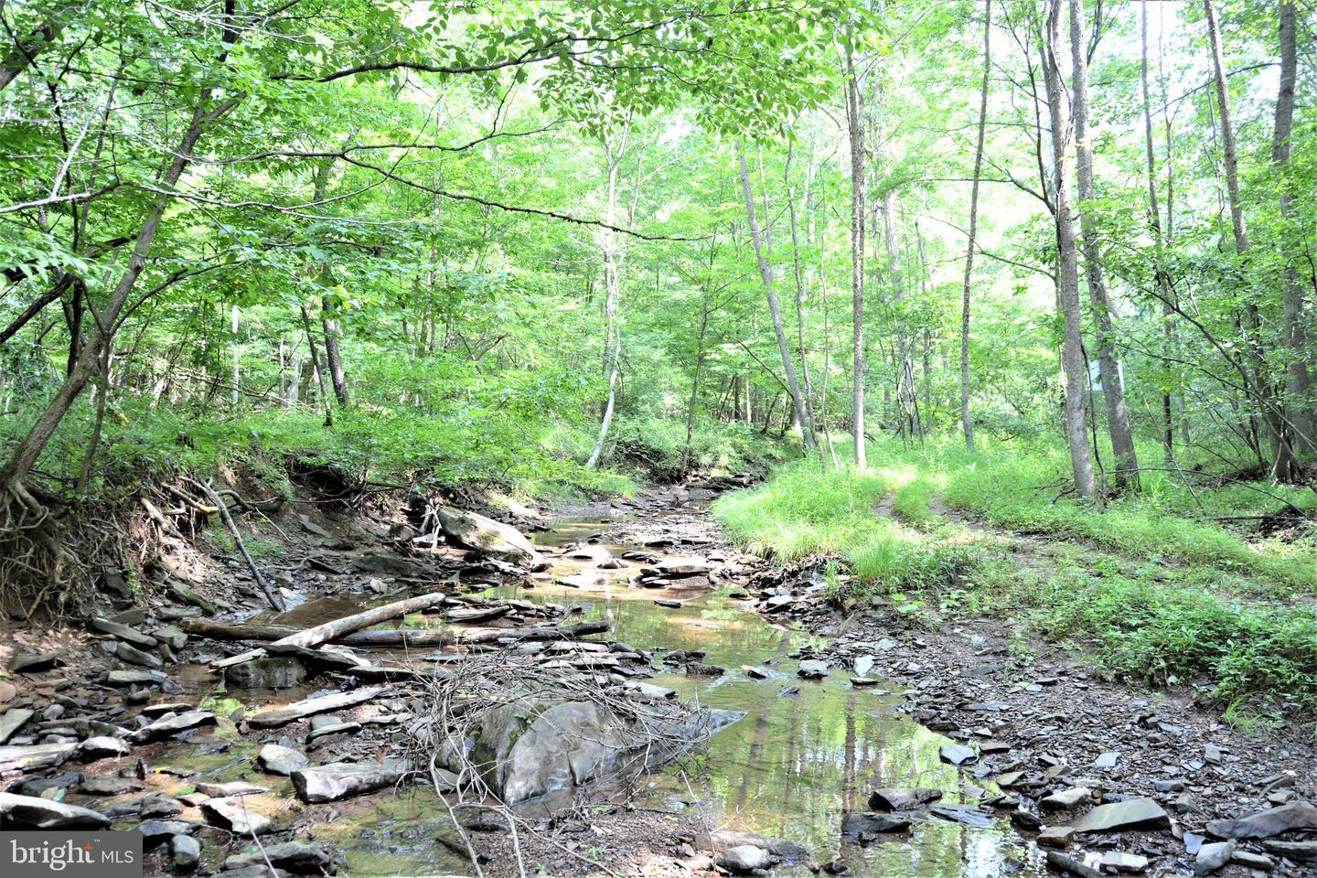 LOT 11-HOOVER MTN PACK HORSE RD, WINCHESTER, Virginia 22603, ,Land,For sale,LOT 11-HOOVER MTN PACK HORSE RD,VAFV2033532 MLS # VAFV2033532
