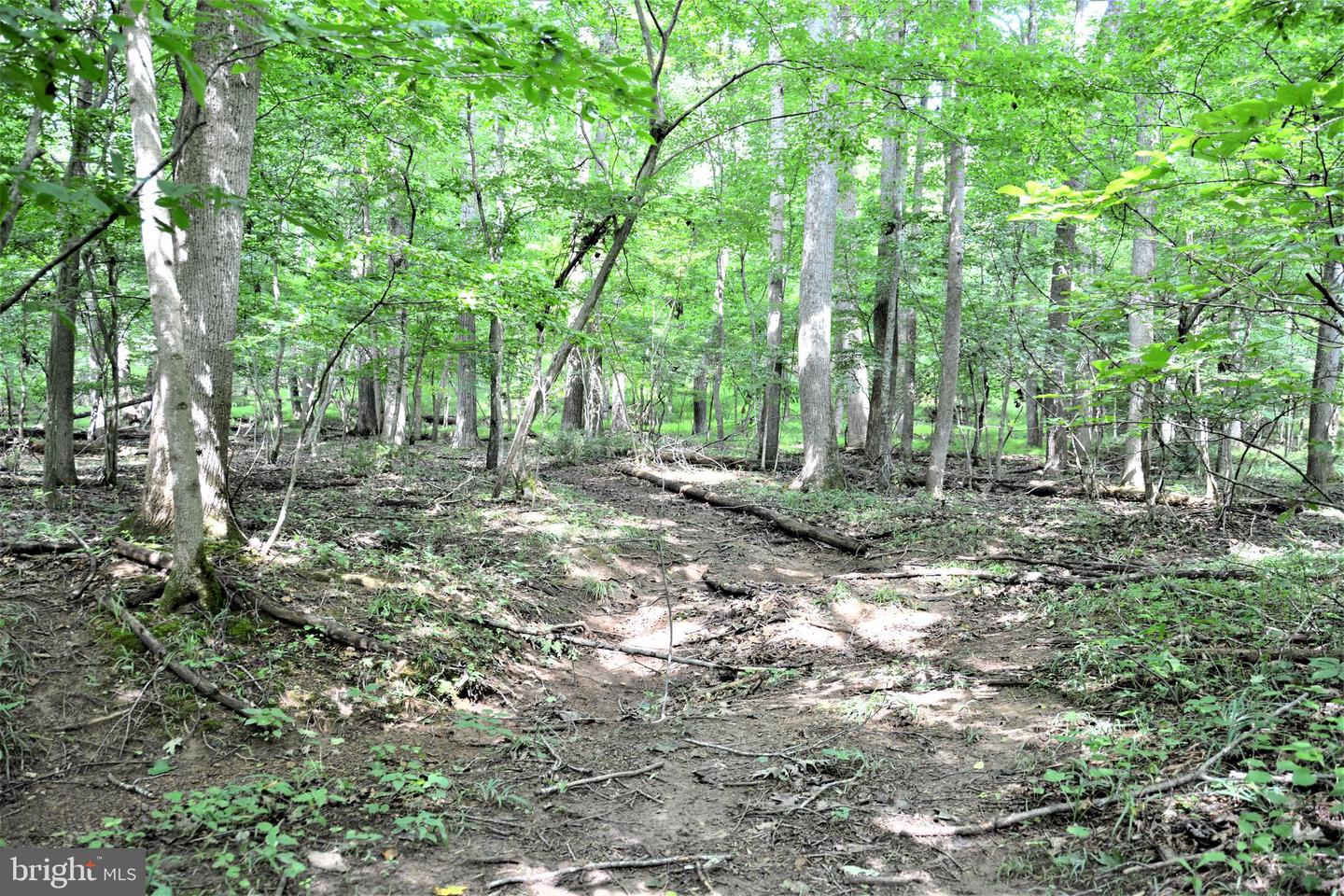 LOT 11-HOOVER MTN PACK HORSE RD, WINCHESTER, Virginia 22603, ,Land,For sale,LOT 11-HOOVER MTN PACK HORSE RD,VAFV2033532 MLS # VAFV2033532