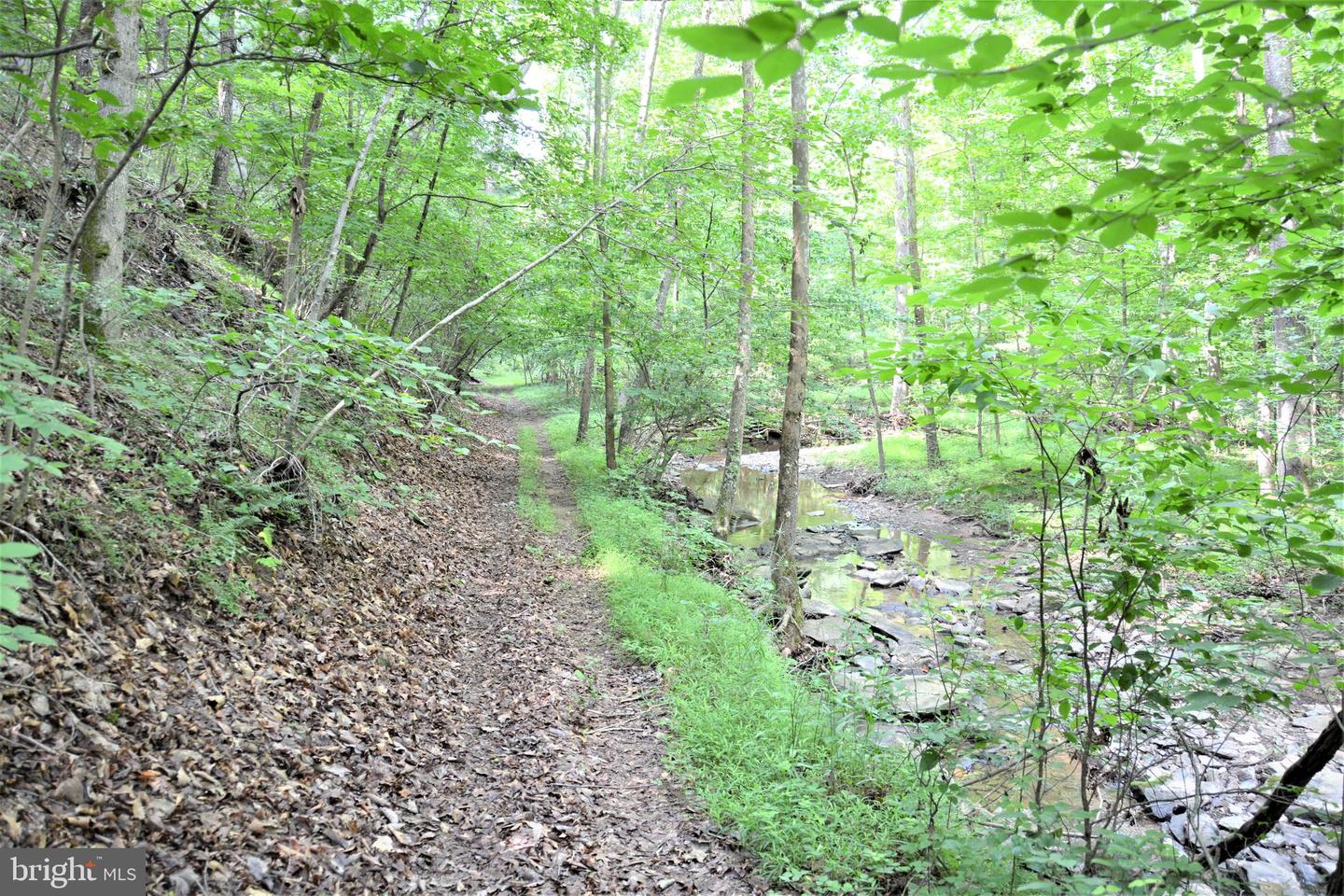 LOT 11-HOOVER MTN PACK HORSE RD, WINCHESTER, Virginia 22603, ,Land,For sale,LOT 11-HOOVER MTN PACK HORSE RD,VAFV2033532 MLS # VAFV2033532