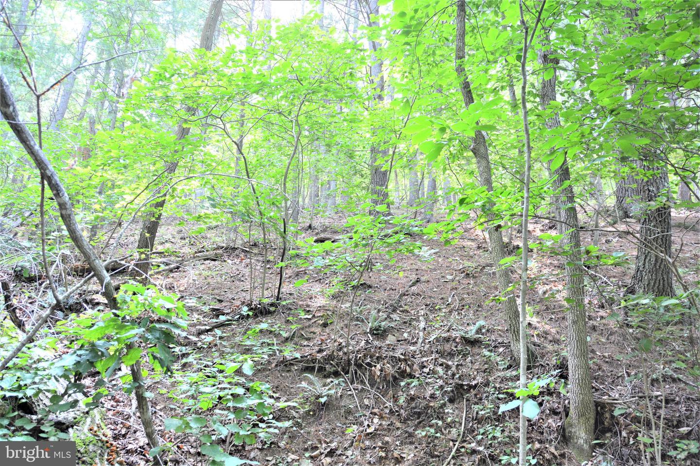 LOT 11-HOOVER MTN PACK HORSE RD, WINCHESTER, Virginia 22603, ,Land,For sale,LOT 11-HOOVER MTN PACK HORSE RD,VAFV2033532 MLS # VAFV2033532