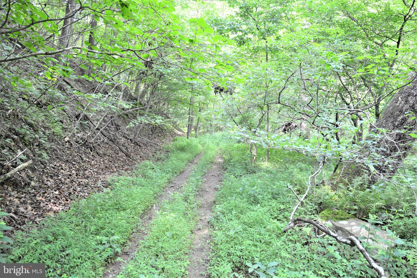 LOT 11-HOOVER MTN PACK HORSE RD, WINCHESTER, Virginia 22603, ,Land,For sale,LOT 11-HOOVER MTN PACK HORSE RD,VAFV2033532 MLS # VAFV2033532