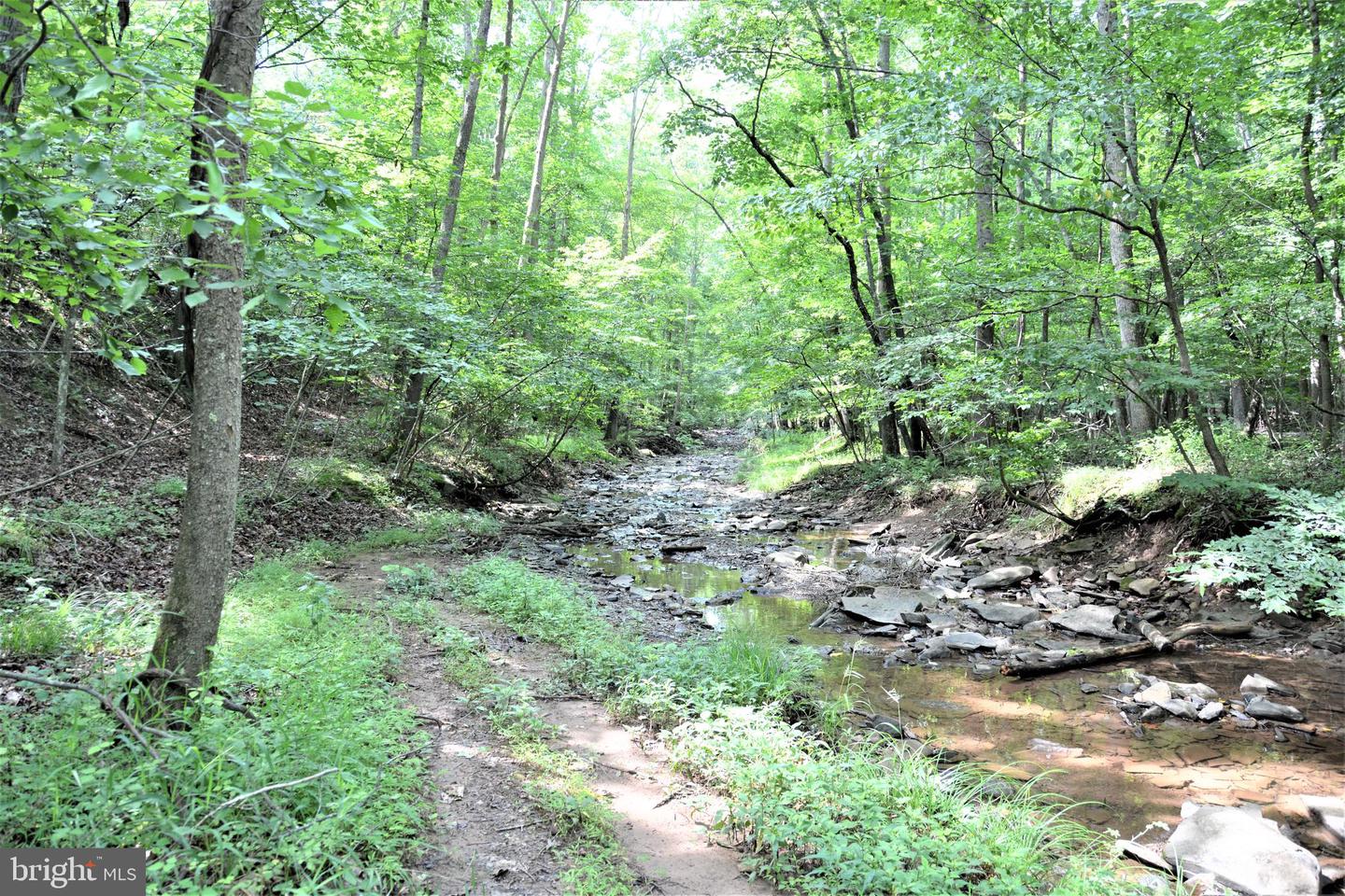LOT 11-HOOVER MTN PACK HORSE RD, WINCHESTER, Virginia 22603, ,Land,For sale,LOT 11-HOOVER MTN PACK HORSE RD,VAFV2033532 MLS # VAFV2033532