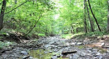 LOT 11-HOOVER MTN PACK HORSE RD, WINCHESTER, Virginia 22603, ,Land,For sale,LOT 11-HOOVER MTN PACK HORSE RD,VAFV2033532 MLS # VAFV2033532