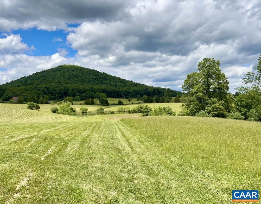 5 CATTERTON RD, FREE UNION, Virginia 22940, ,Land,For sale,5 CATTERTON RD,664971 MLS # 664971